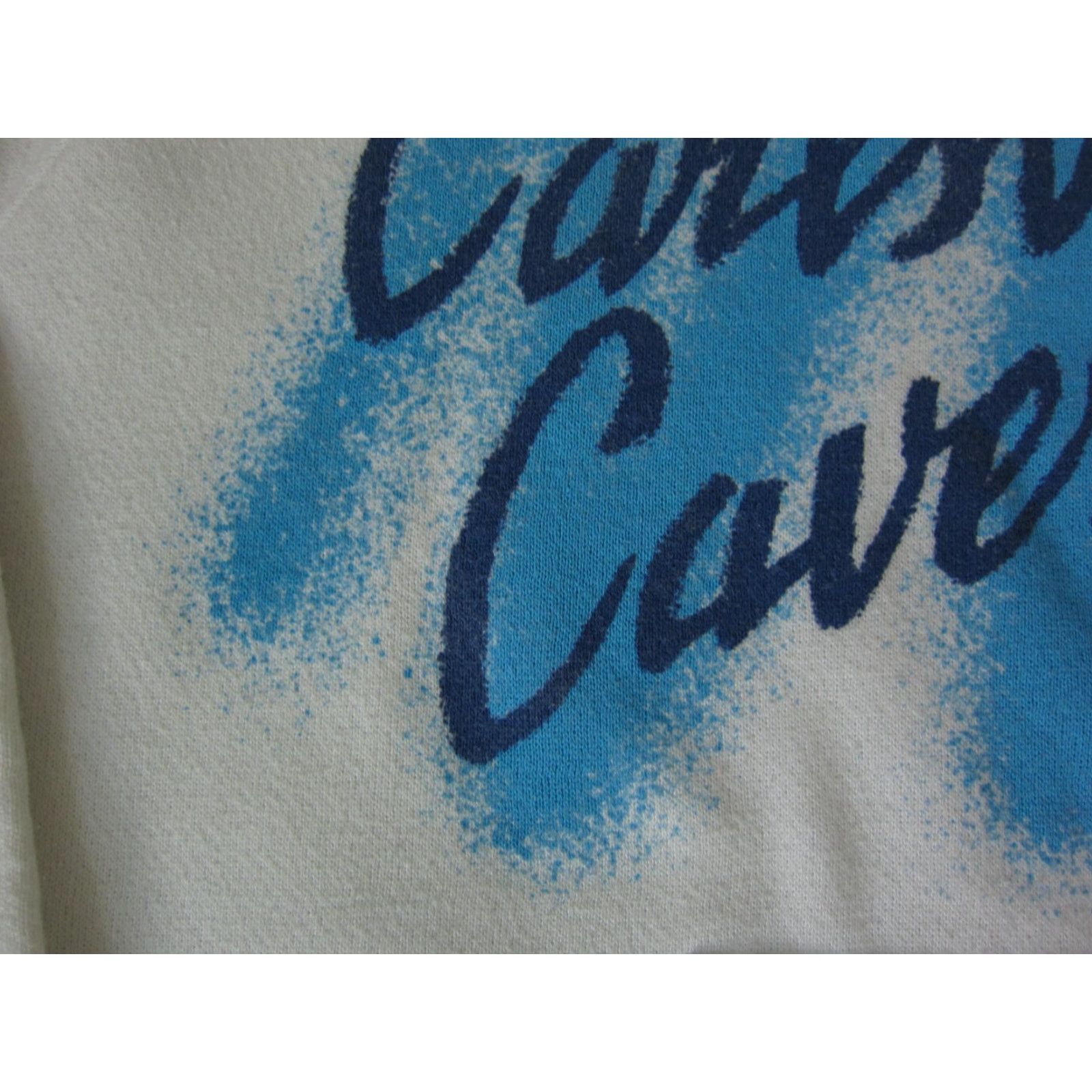 Vintage VINTAGE Breakaway Hoodie Mens M White 90s Carlsbad Caverns Made in USA Hoodies Mens Size US M / EU 48-50 / 2 - 3 Thumbnail