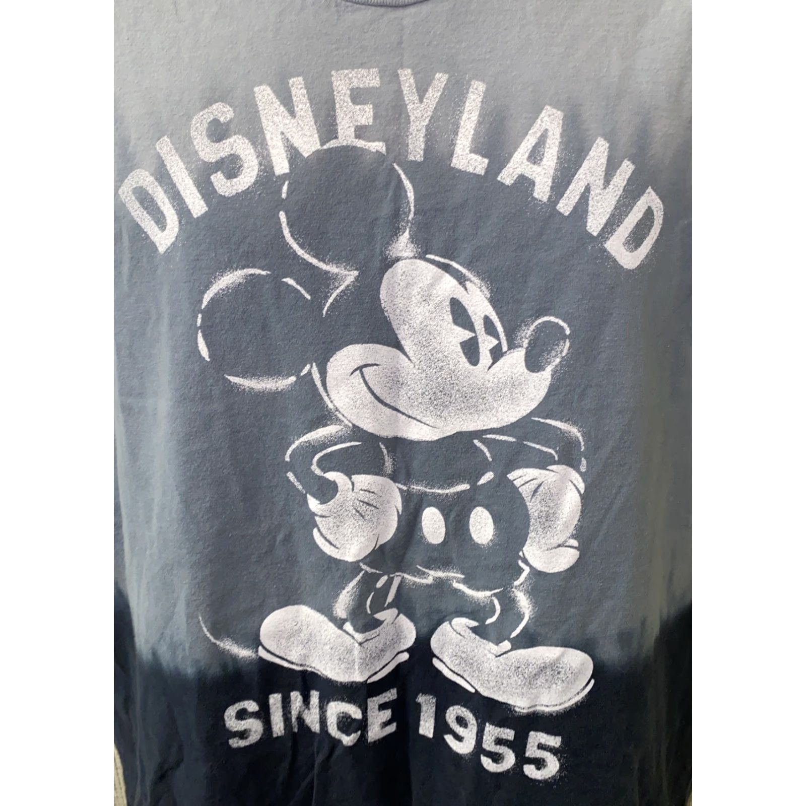 Vintage Disneyland Mens Gray Short Sleeve Graphic T-Shirt 2XL Size US XXL / EU 58 / 5 - 2 Thumbnail
