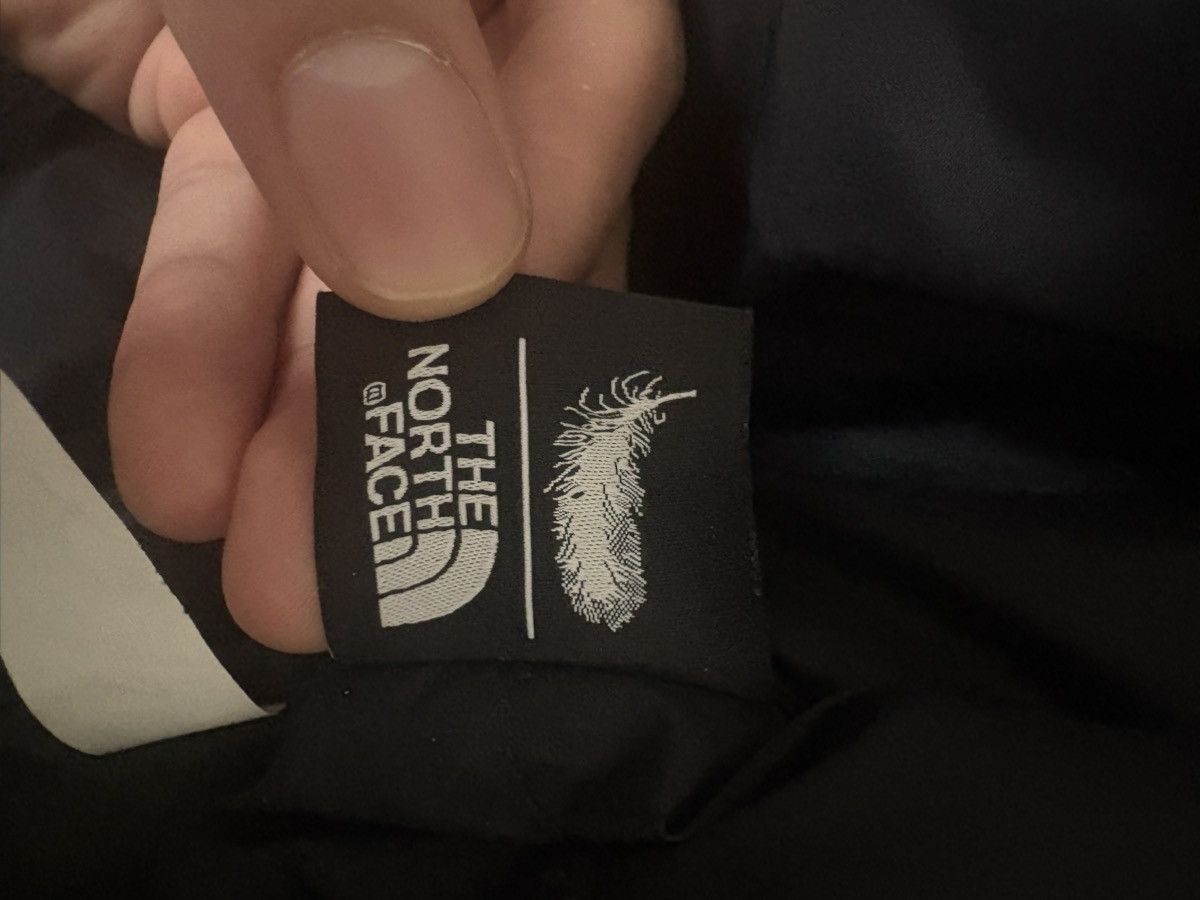 The North Face North face puffer Size US L / EU 52-54 / 3 - 3 Thumbnail