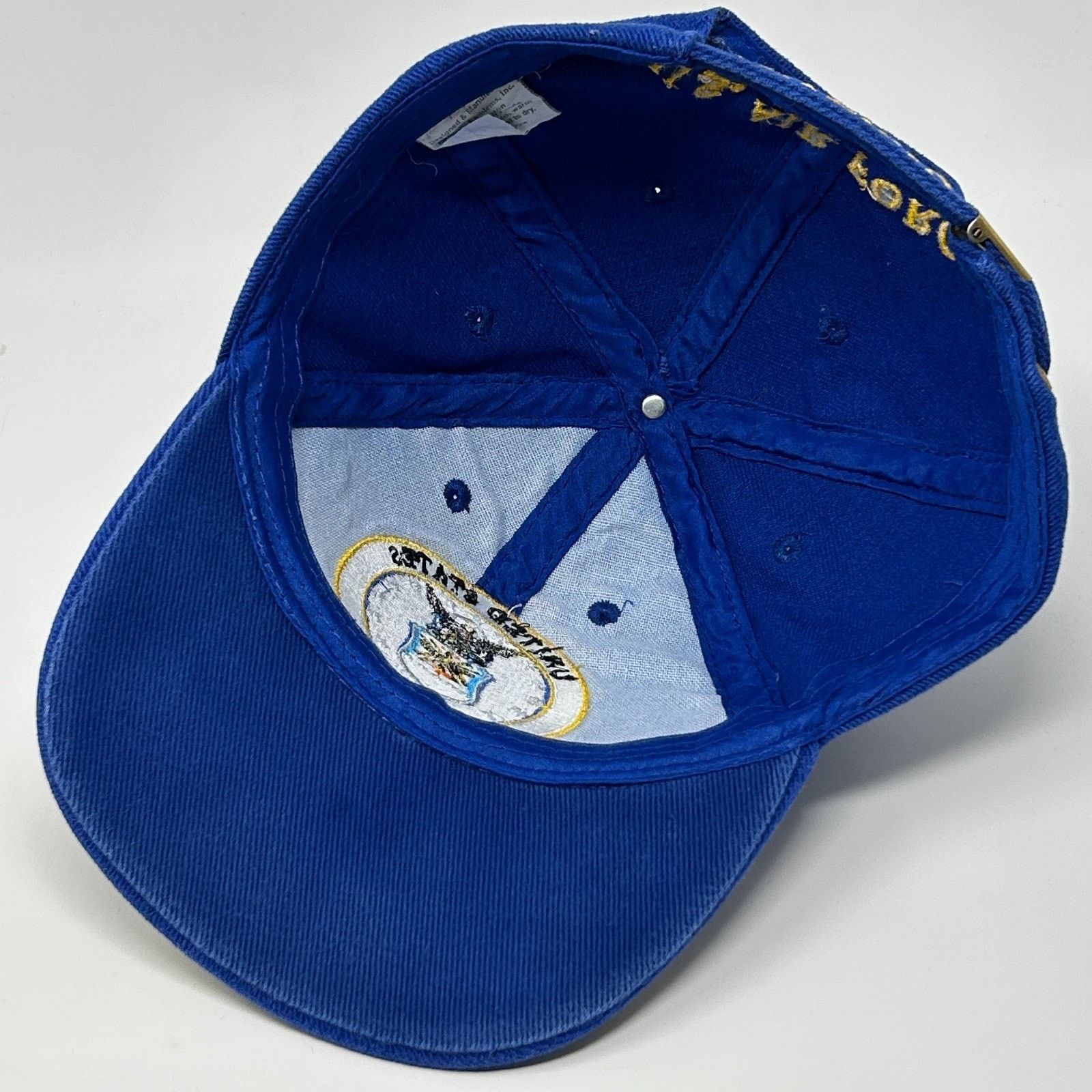 Other US Air Force Veteran Hat Cap Blue USAF Gold Leaf Leaves Size ONE SIZE - 4 Thumbnail
