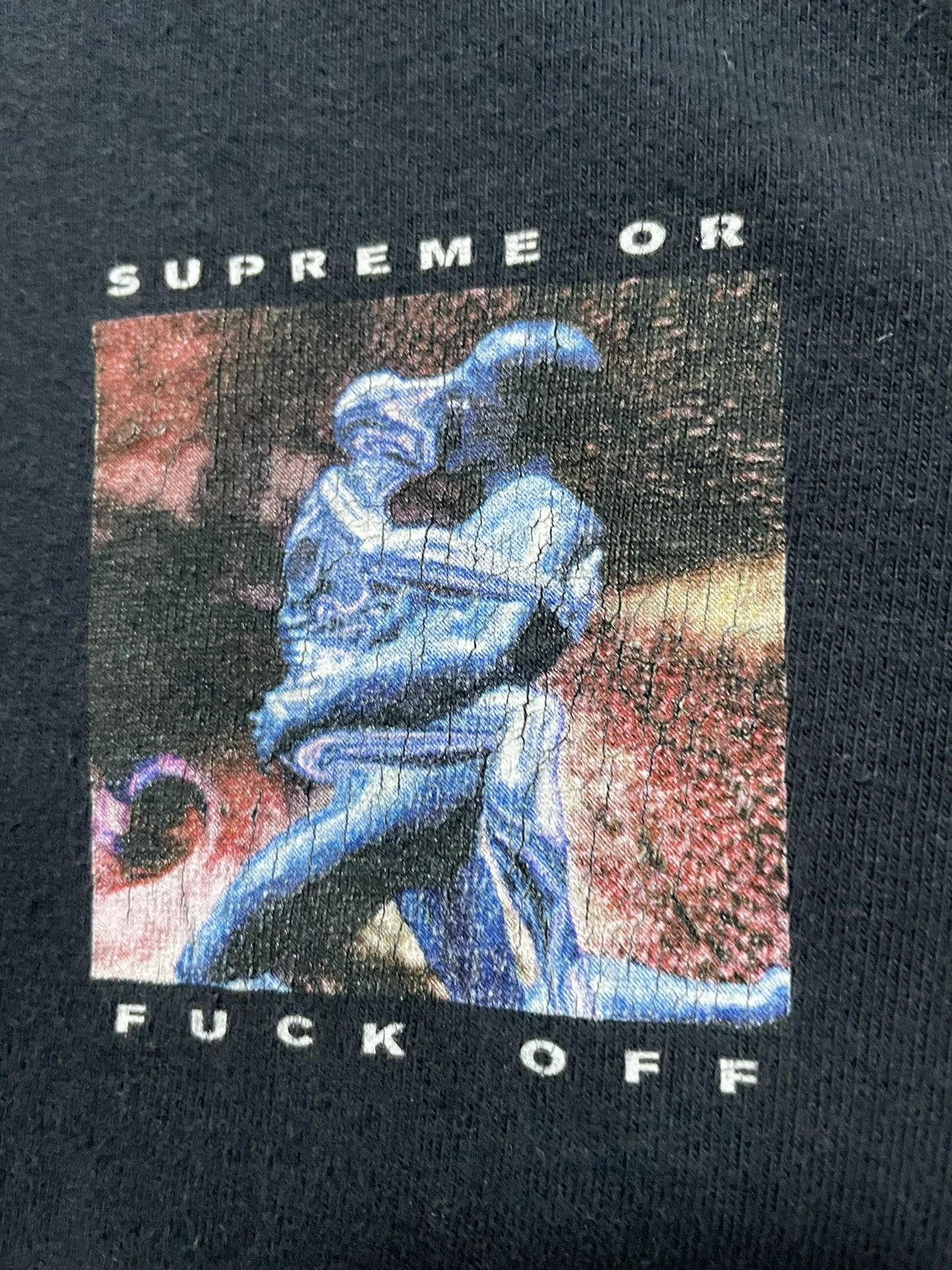 Supreme Supreme Or Fuck Off Tee SS17 T Shirt Size US XL / EU 56 / 4 - 4 Thumbnail
