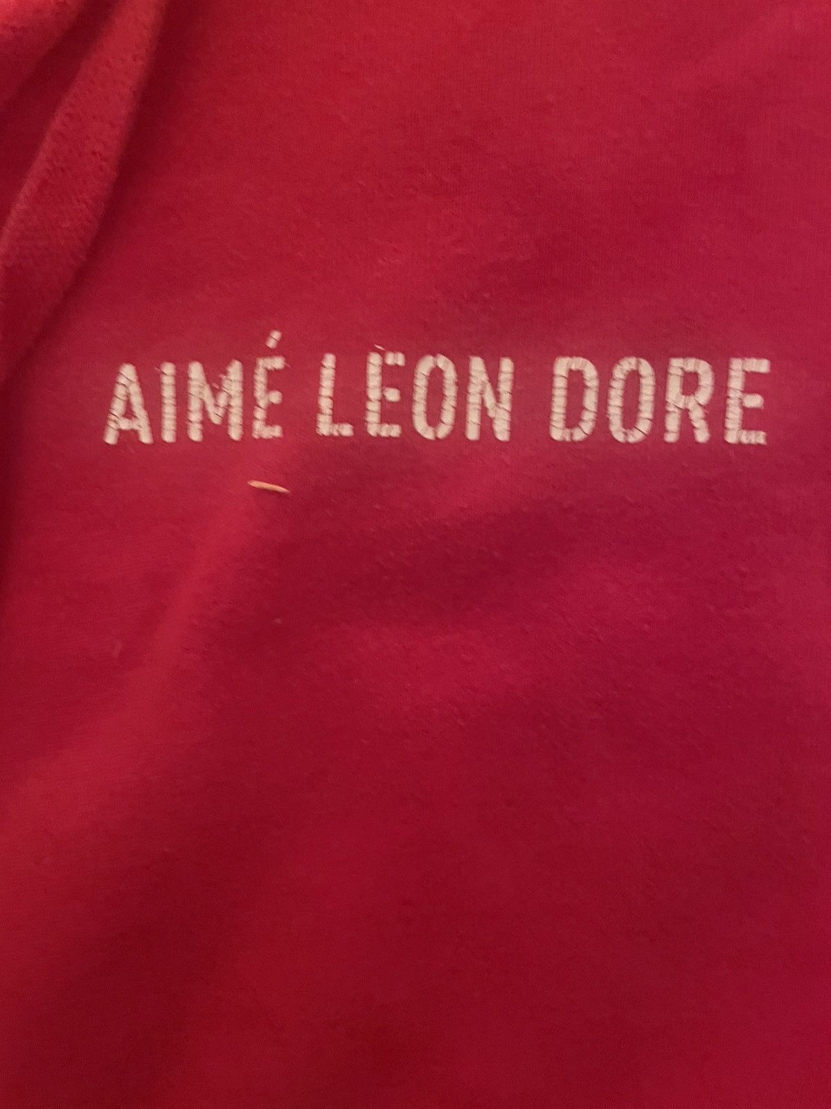 Aime Leon Dore Aime Leon Dore Hoddie Size US L / EU 52-54 / 3 - 3 Thumbnail