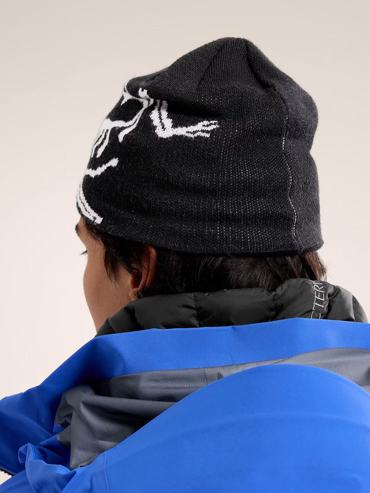 Arc'teryx BIRD HEAD TOQUE *ORCA* WOOL HAT | Grailed