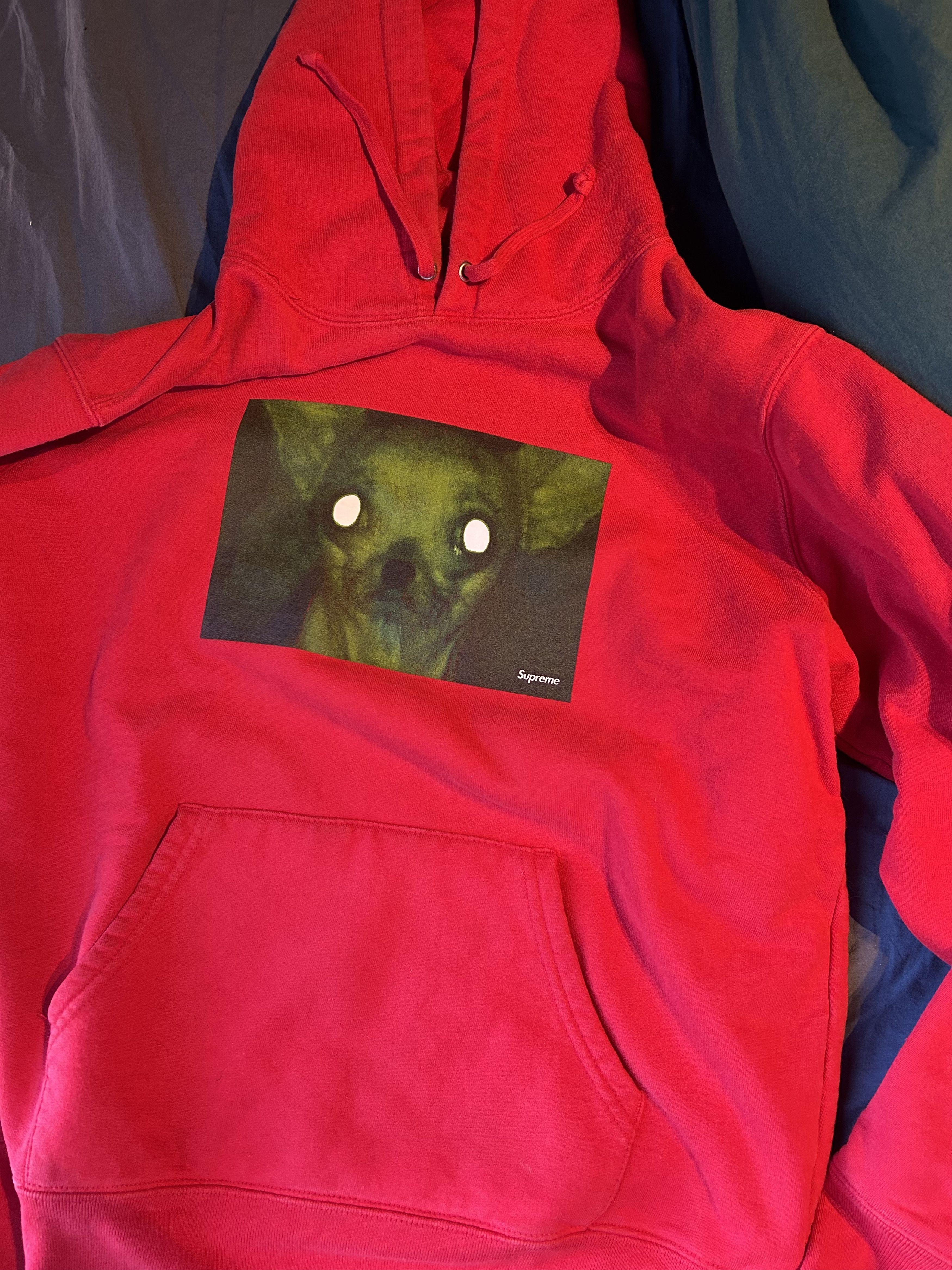 Supreme Supreme Chris Cunningham Chihuahua Hooded Sweatshirt Red Size US M / EU 48-50 / 2 - 2 Thumbnail