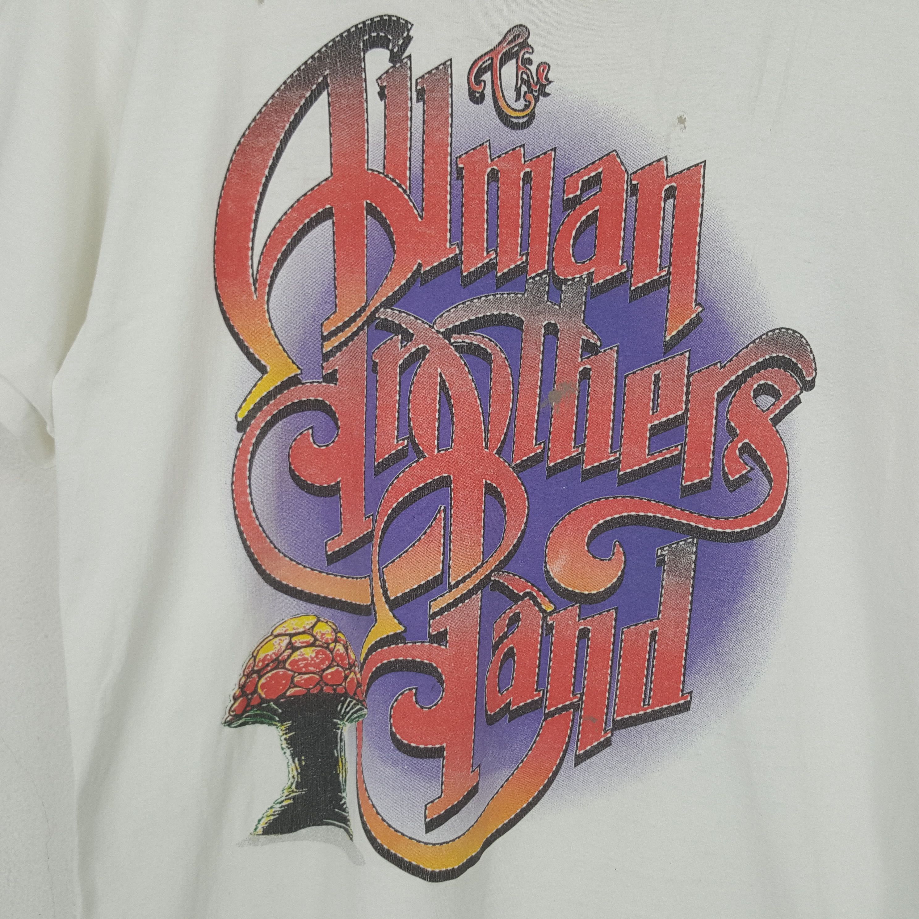 Band Tees Vintage The Allman Brothers Band Distressed Tshirt RR29 Size US L / EU 52-54 / 3 - 4 Thumbnail