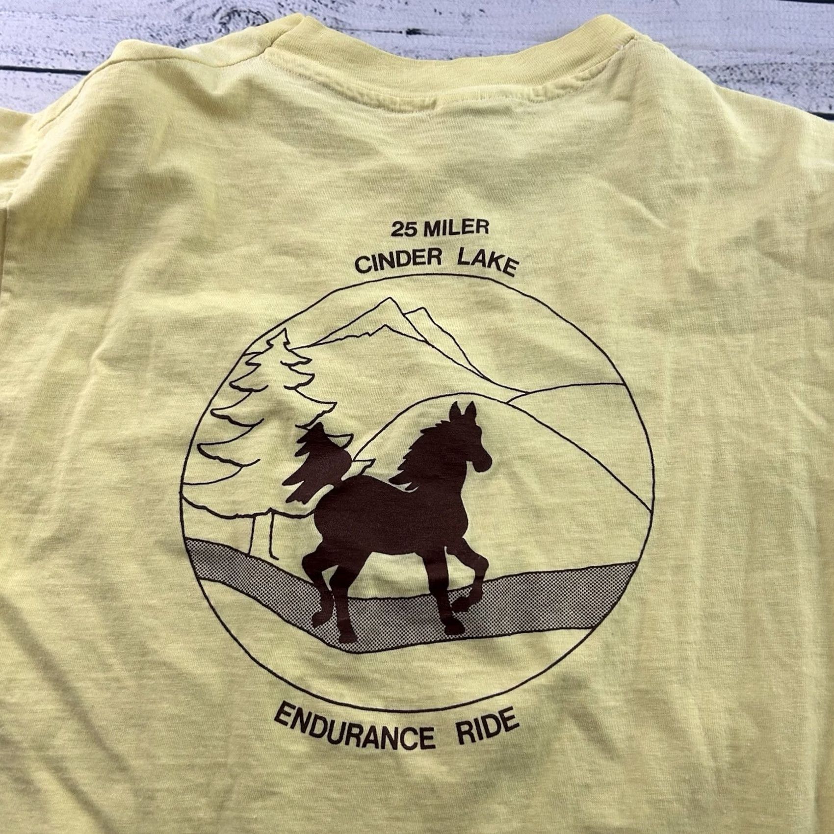 Hanes VINTAGE Hanes Cinder Lake 25 Miler Short Sleeve T Shirt Mens Large Yellow Shirts Mens L Yellow Hanes T-Shirt Vintage Hanes Shirt Size US L / EU 52-54 / 3 - 4 Thumbnail