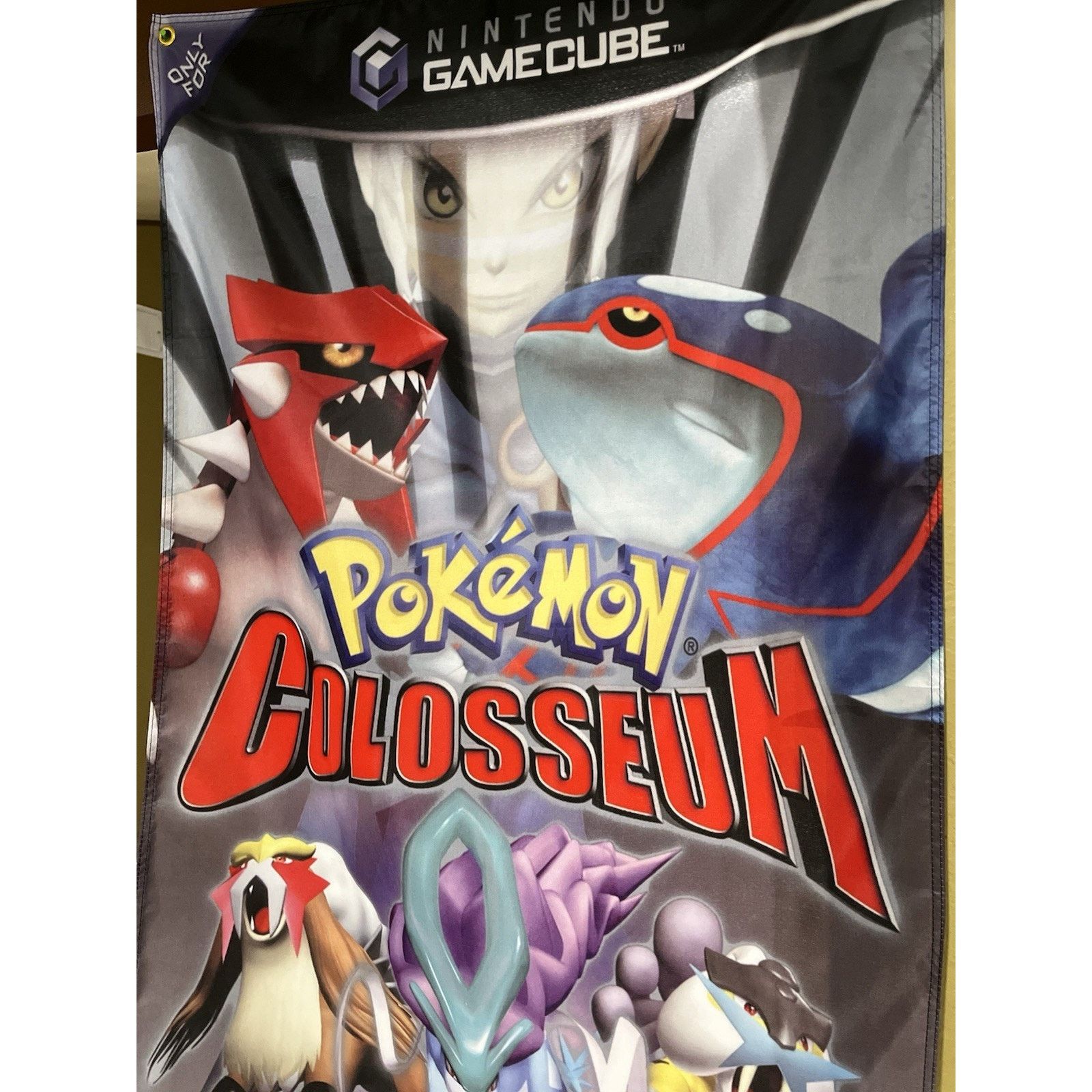 Nintendo Pokémon Colosseum 5ft Flag Banner Nintendo GameCube 2004 Size ONE SIZE - 3 Thumbnail