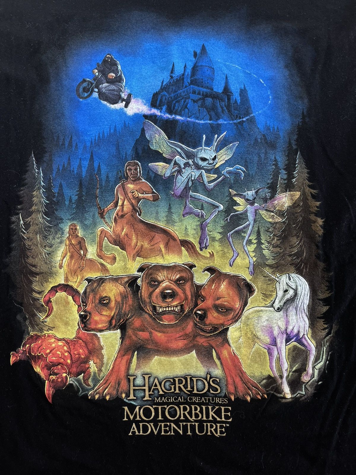 Other HAGRID’S Magical Creatures Motorbike Adventure Film Tshirt Size US XL / EU 56 / 4 - 5 Thumbnail