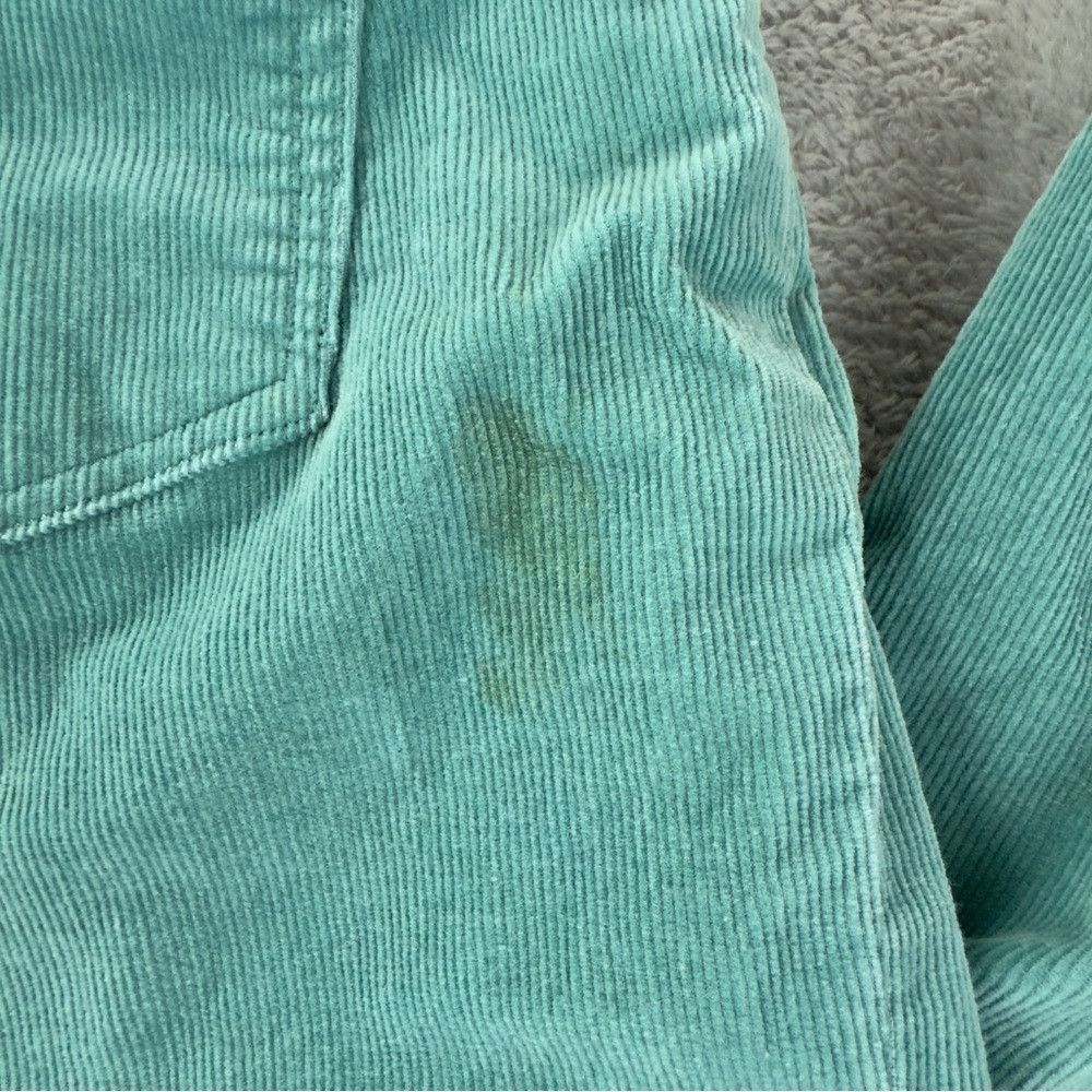 Patagonia Patagonia Women's Sz 32x31 Blue Corduroy Pants Flared 55060 Size 32" / US 10 / IT 46 - 9 Thumbnail