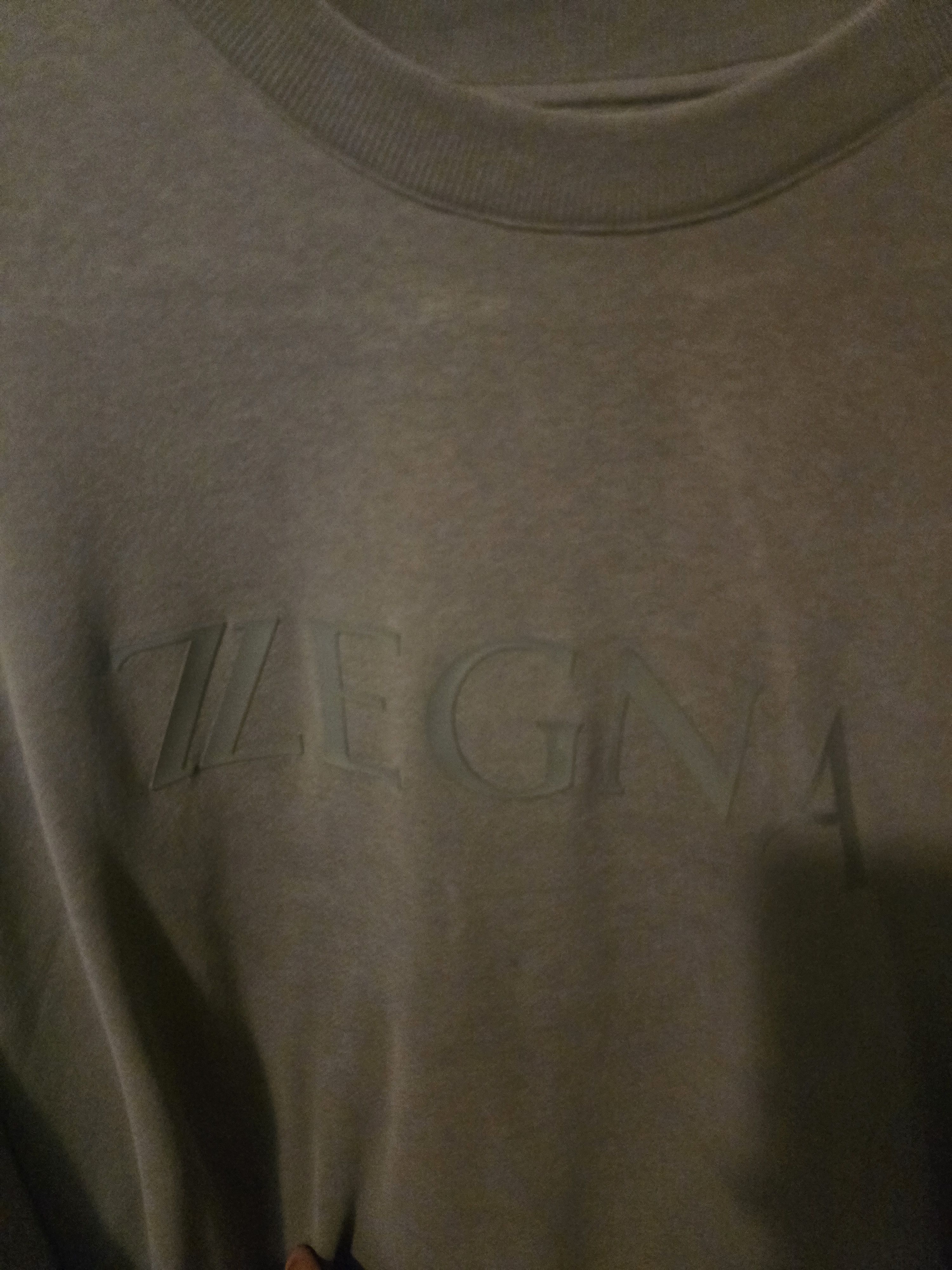 Z Zegna Z Zengna cotton crew kneck sweater Size US L / EU 52-54 / 3 - 1 Thumbnail