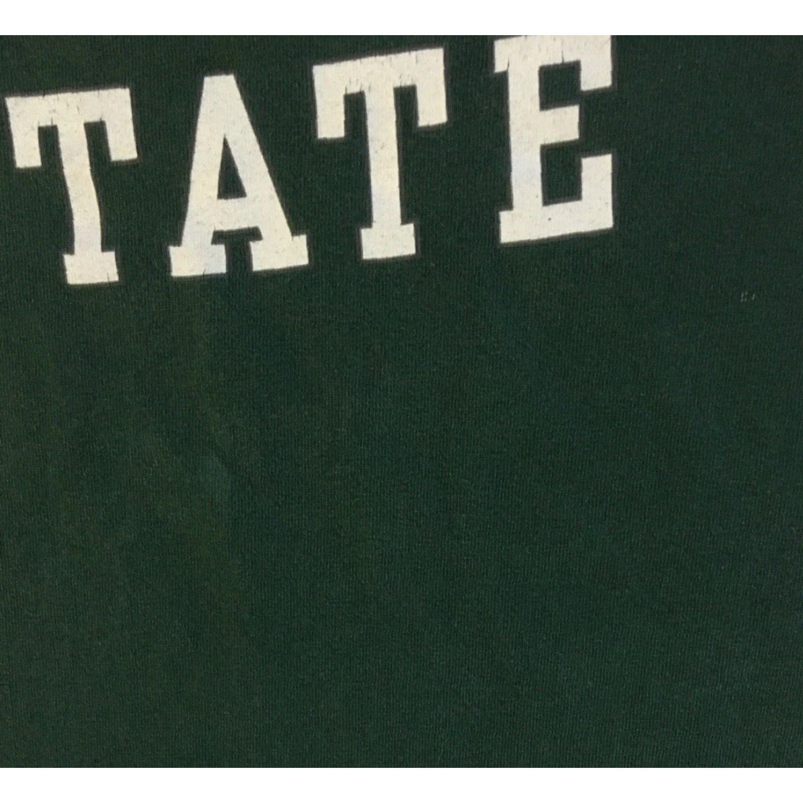 Vintage VINTAGE Cincinnati State College Faded Spellout Shirt L Green 90s 80s College Grunge Skate Track Football PE School Mens T-Shirt Short Sleeve Size L Size US L / EU 52-54 / 3 - 6 Thumbnail