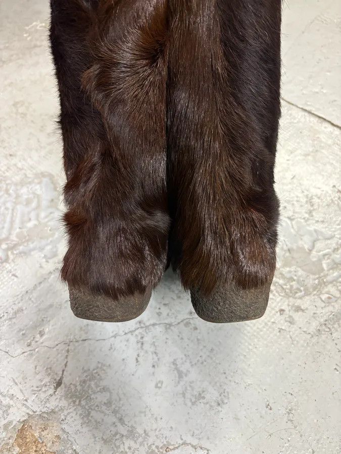 Gucci 2000s Gucci Brown Fur Scratch Boots Size US 11 / EU 44 - 5 Thumbnail