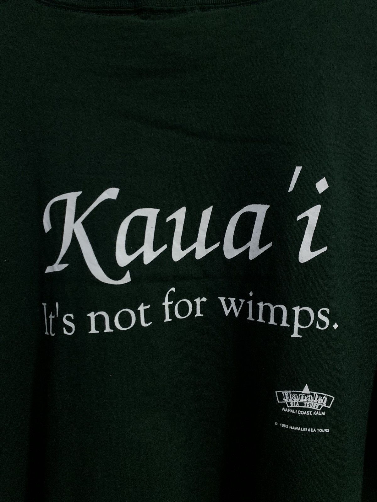 Fruit Of The Loom Vintage Kauai 1993 Shirt Size US XL / EU 56 / 4 - 8 Thumbnail