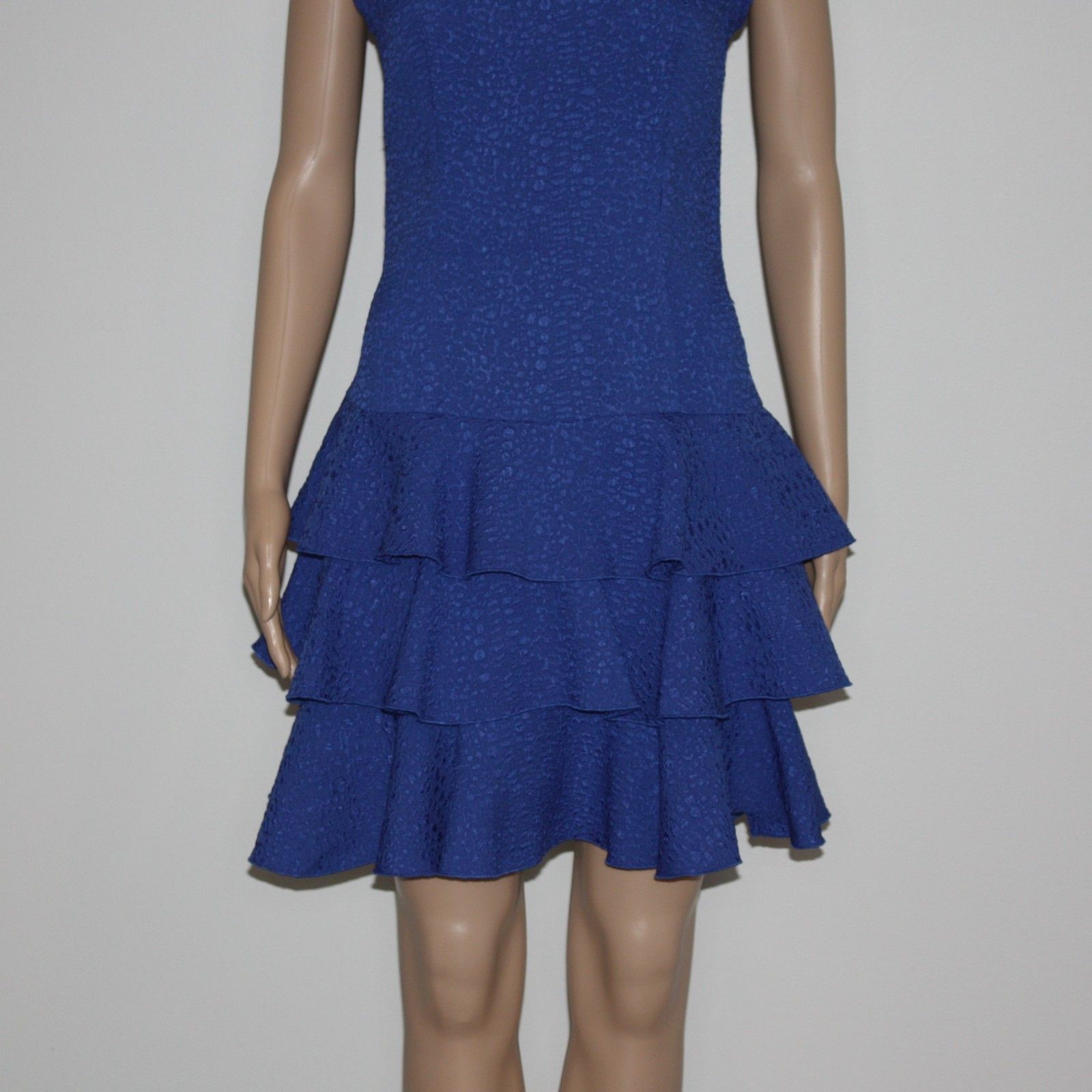 Rachel Zoe Ginta Drop Waist Ruffle Dress in Blue size 6 NWT MSRP $275 Size M / US 6-8 / IT 42-44 - 6 Thumbnail