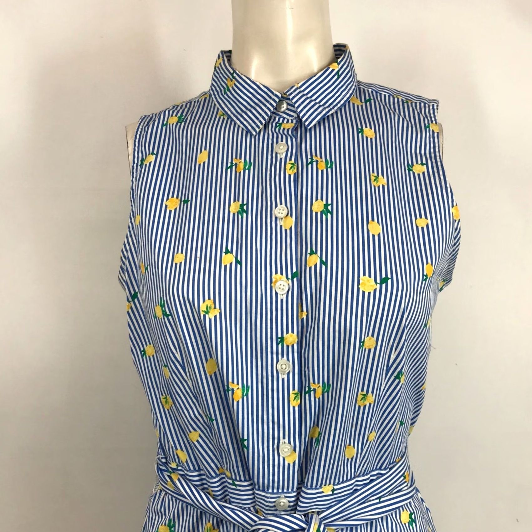 J.Crew J.CREW Women's 8 Button-Up Belted Dress BLUE/WHITE Stripe Size M / US 6-8 / IT 42-44 - 2 Thumbnail