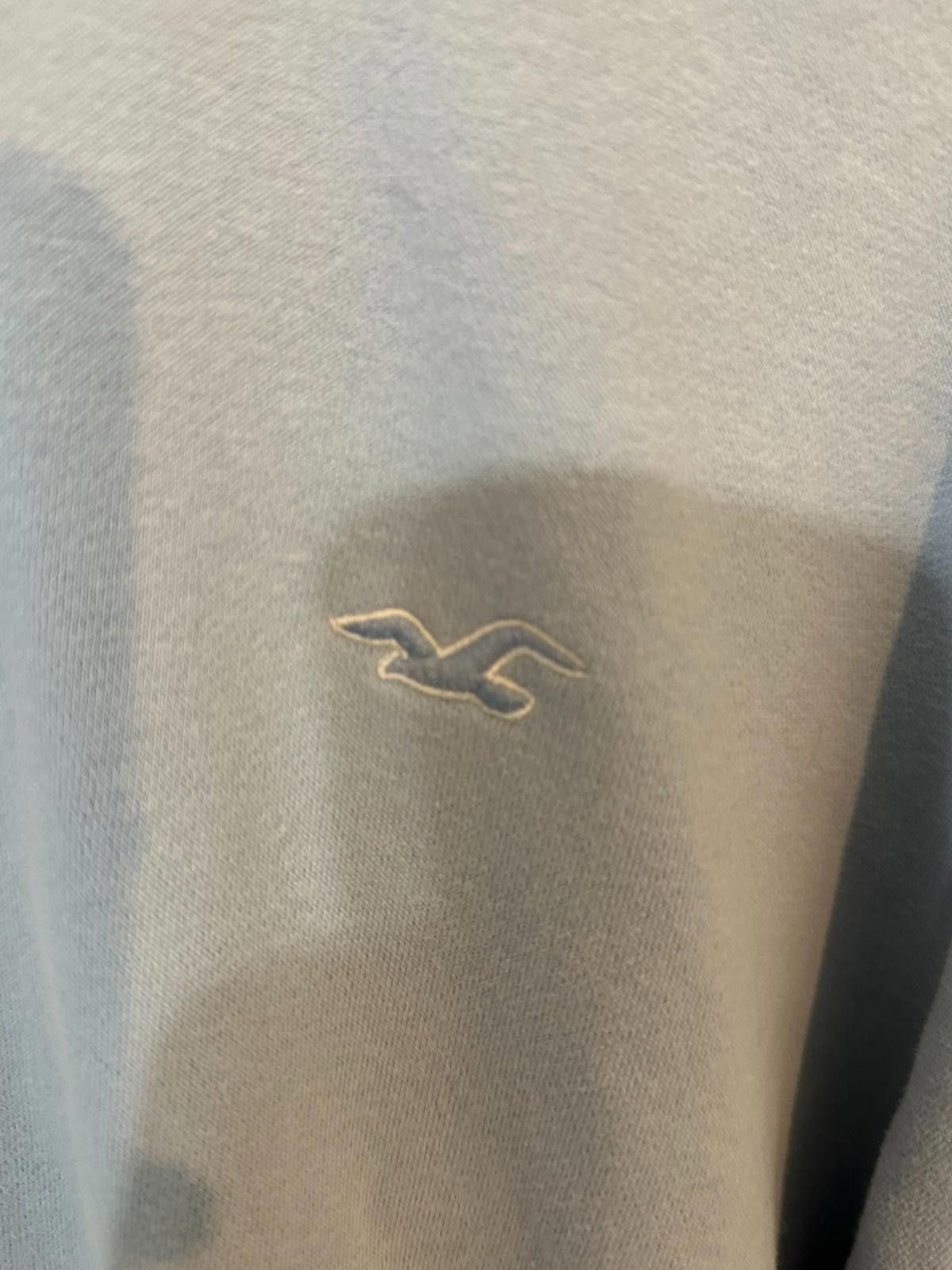Hollister Hollister hoodie in XL pale blue -embroidered bird logo Size US XL / EU 56 / 4 - 7 Thumbnail