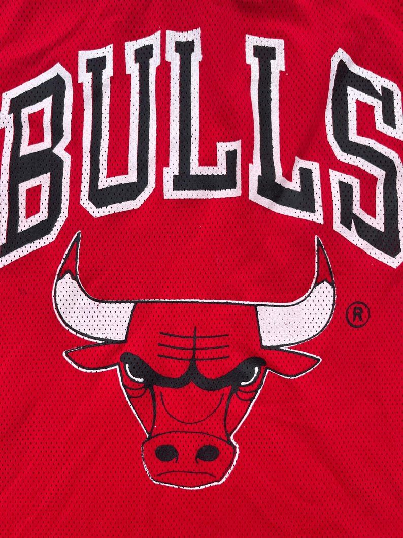 Other Bulls Jersey Tee 1980s 1990s Canada Made Ravens wear Size US L / EU 52-54 / 3 - 2 Thumbnail