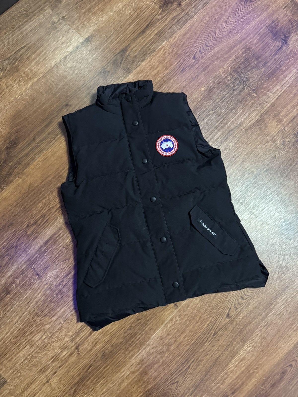 Canada goose