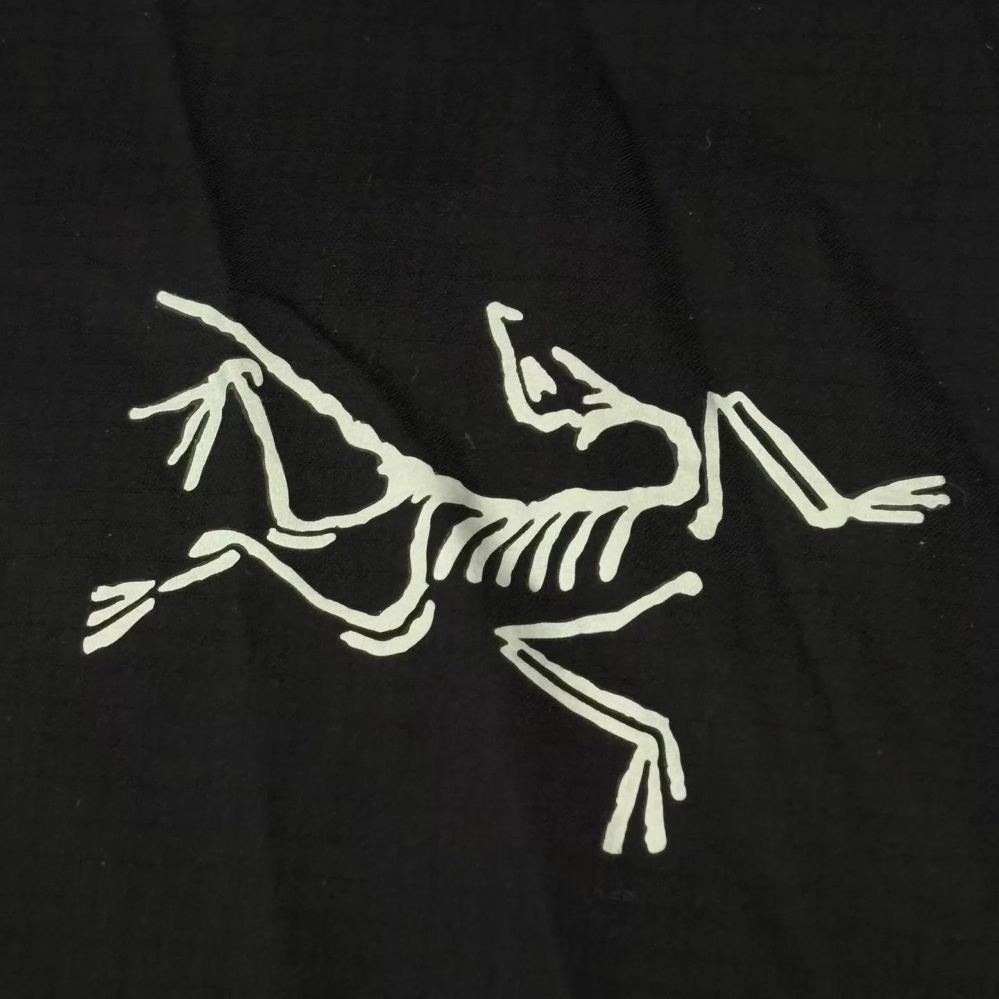 Arc'teryx Arcteryx SS23 Nodin Logo Lightweight Windbreaker L Size US L / EU 52-54 / 3 - 6 Thumbnail