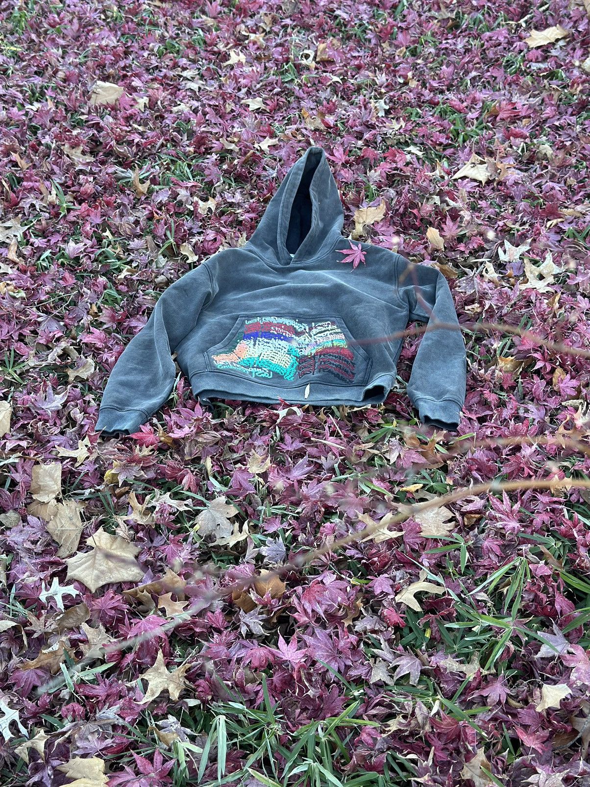 lastremains hoodie multicolored embroidery