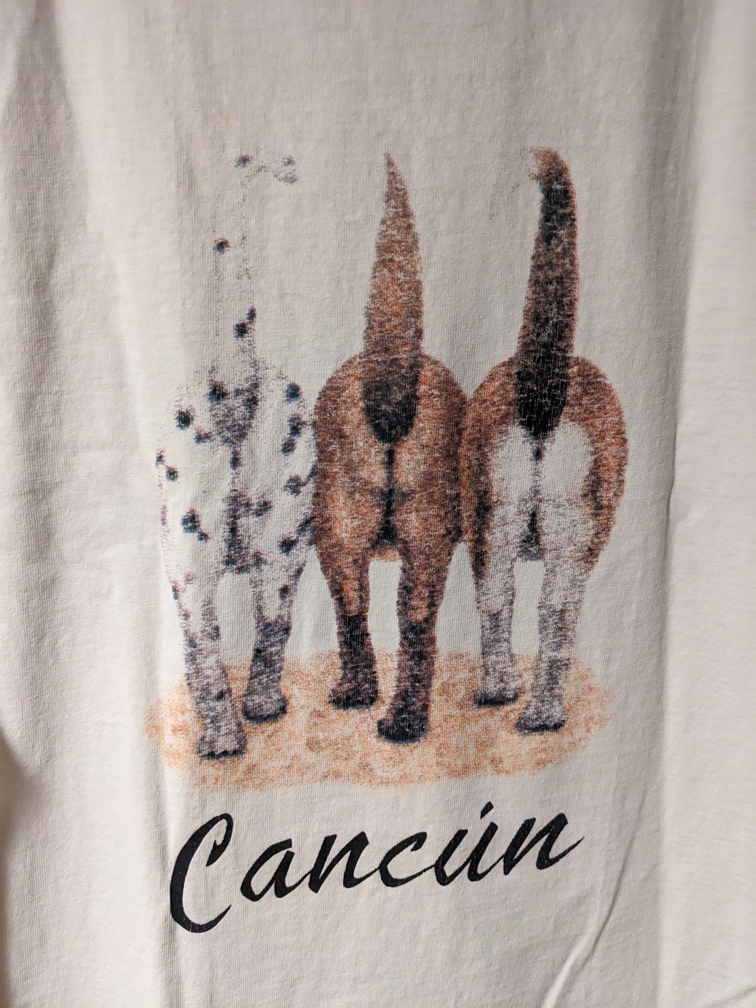 Vintage Vintage 90s Labrador Retriever Dalmatian Linda Lori T-Shirt Size US M / EU 48-50 / 2 - 15 Thumbnail