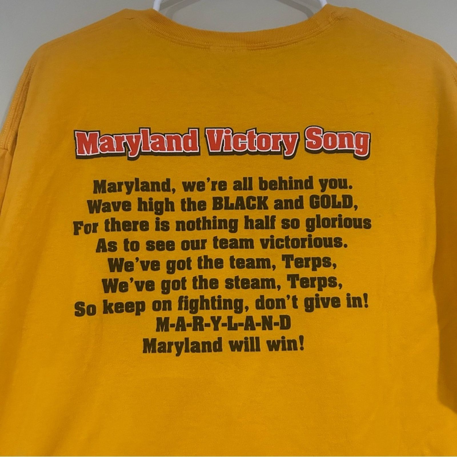 Hanes Vintage Maryland Terrapins Terp Pride Shirt Size US XL / EU 56 / 4 - 4 Thumbnail