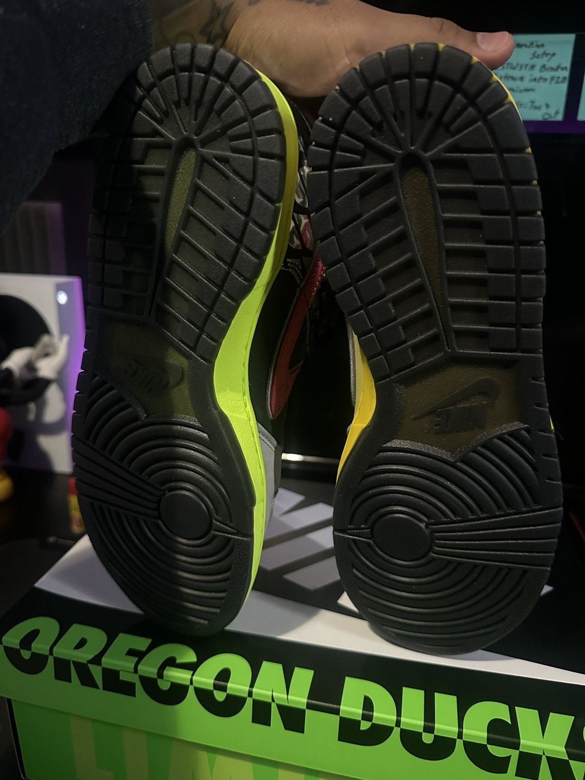 Nike Dunk PE Low What the...Duck - University of Oregon Home
