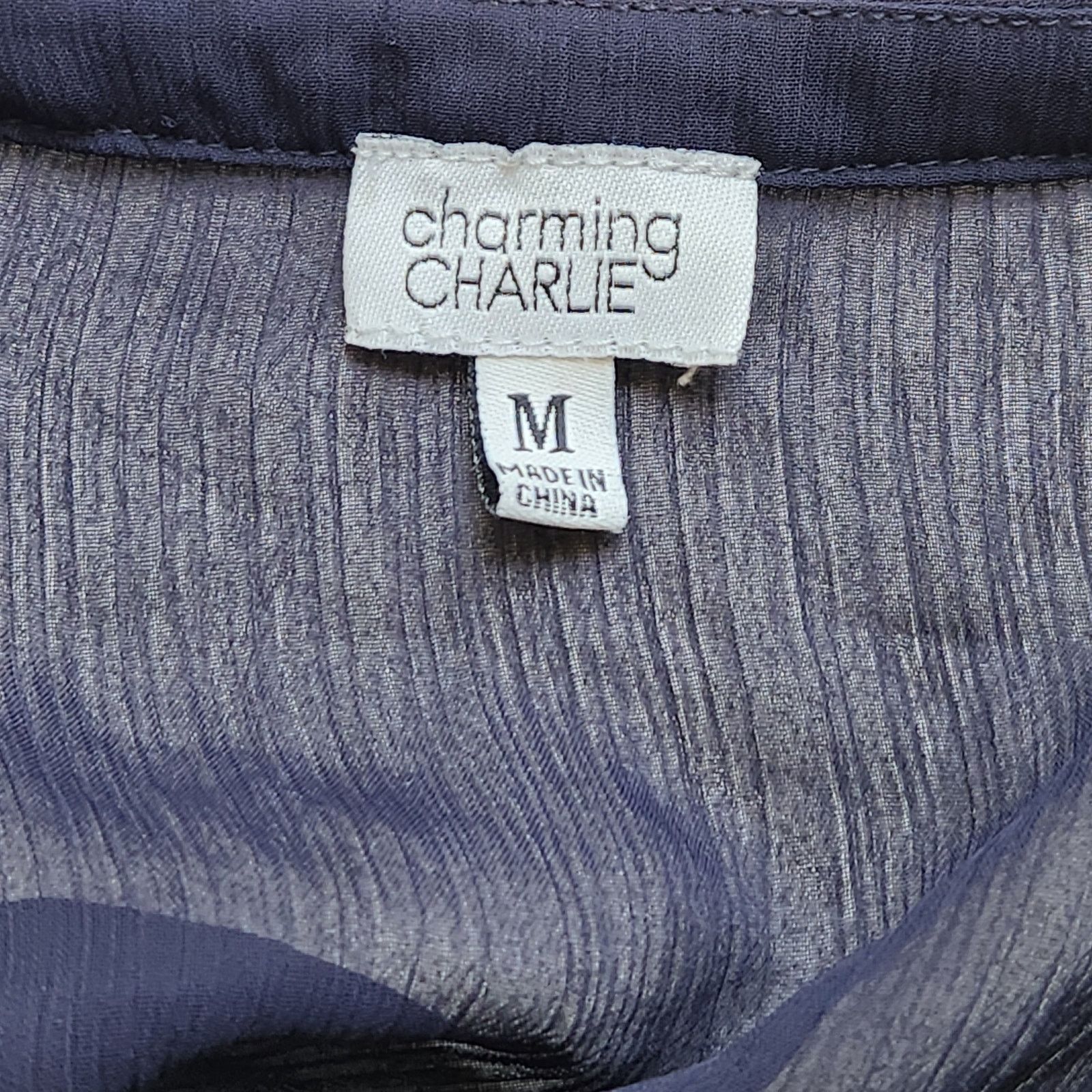 Other Charming Charlie Blue Sheer Crochet Detail Bodice Top Medium Size M / US 6-8 / IT 42-44 - 5 Thumbnail