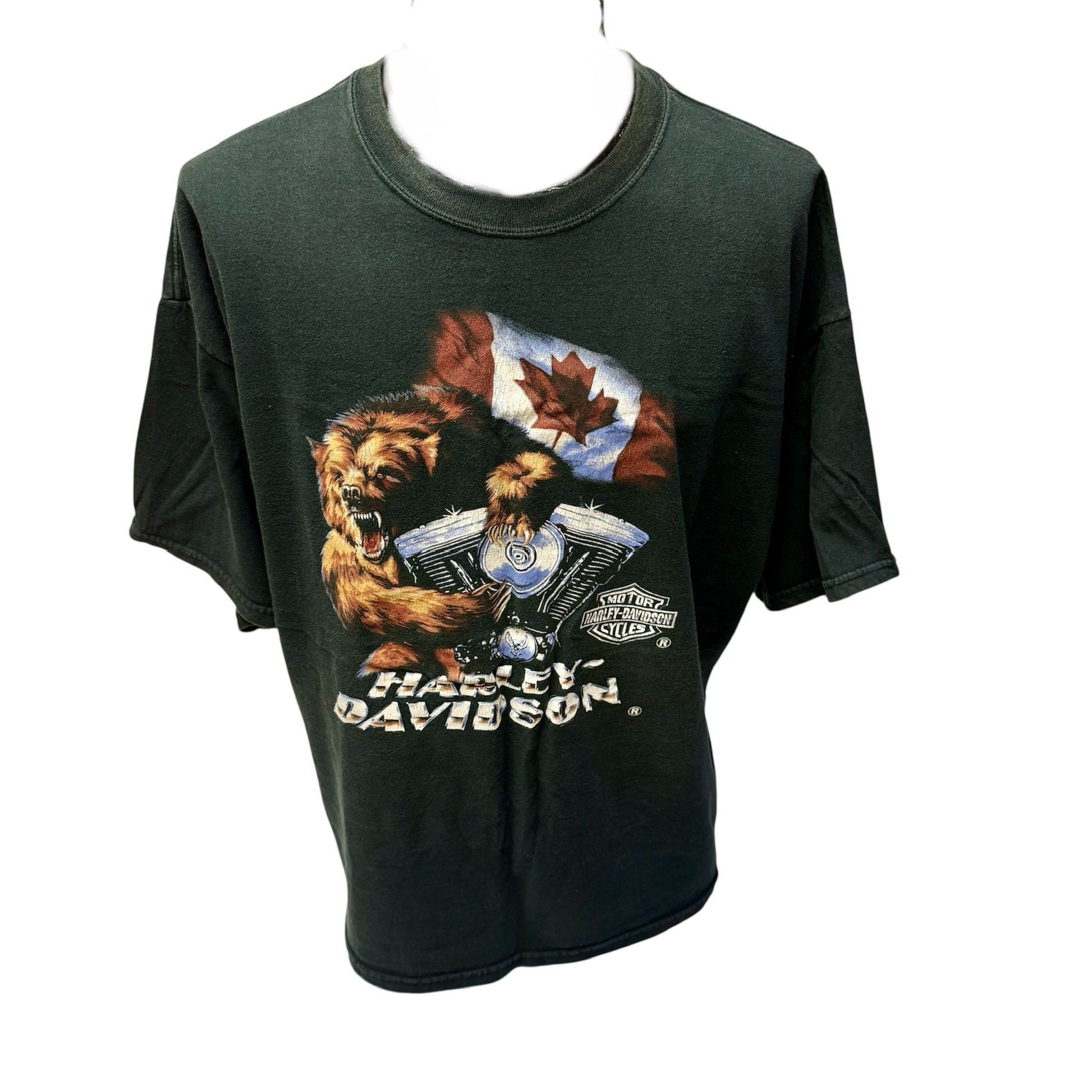 Harley Davidson Motorcycle BEAR Steve Drane Victoria CANADA Licensed T Shirt Size US XXL / EU 58 / 5 - 2 Thumbnail