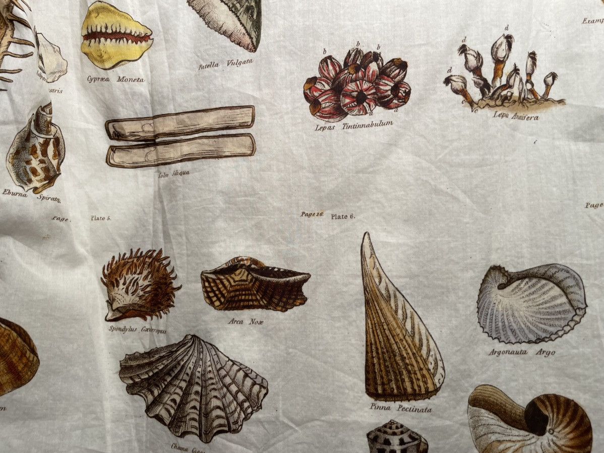 Paul Harnden Shoemakers Paul Harnden Shoemakers “Shells” print shirt Size US XXL / EU 58 / 5 - 5 Thumbnail