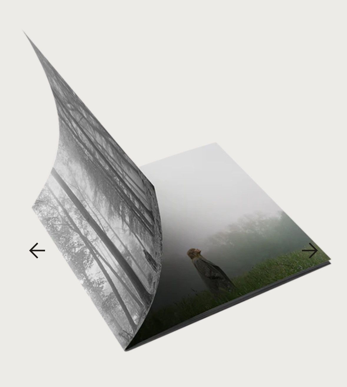 Other TAYLOR SWIFT THE "IN THE TREES" EDITION DELUXE CD Size ONE SIZE - 3 Thumbnail