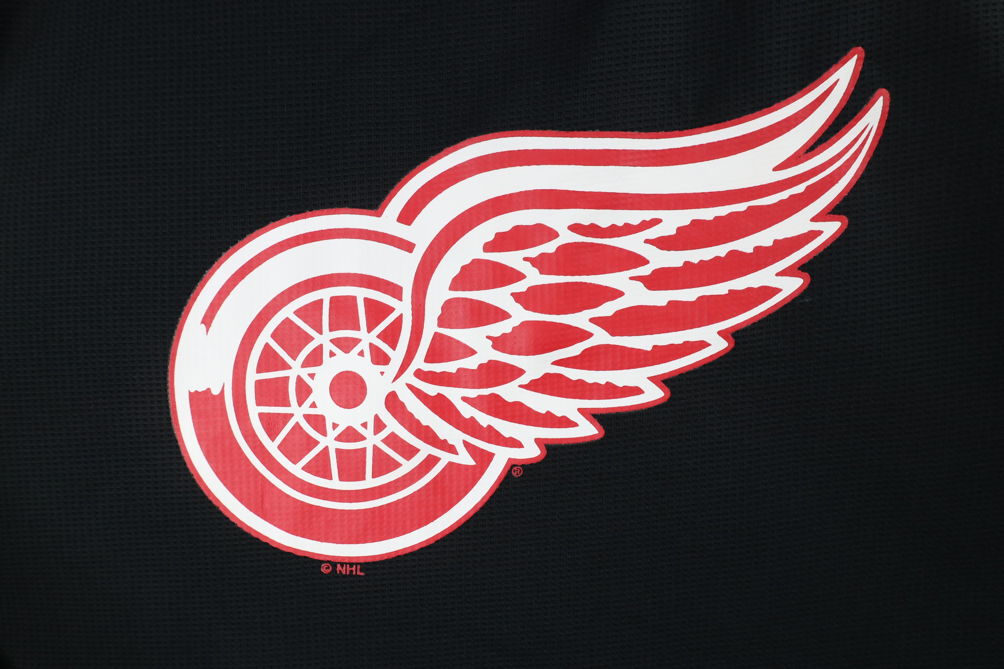 Vintage Vintage Knit Detroit Red Wings Hockey Jersey T-Shirt Black Size US L / EU 52-54 / 3 - 4 Thumbnail