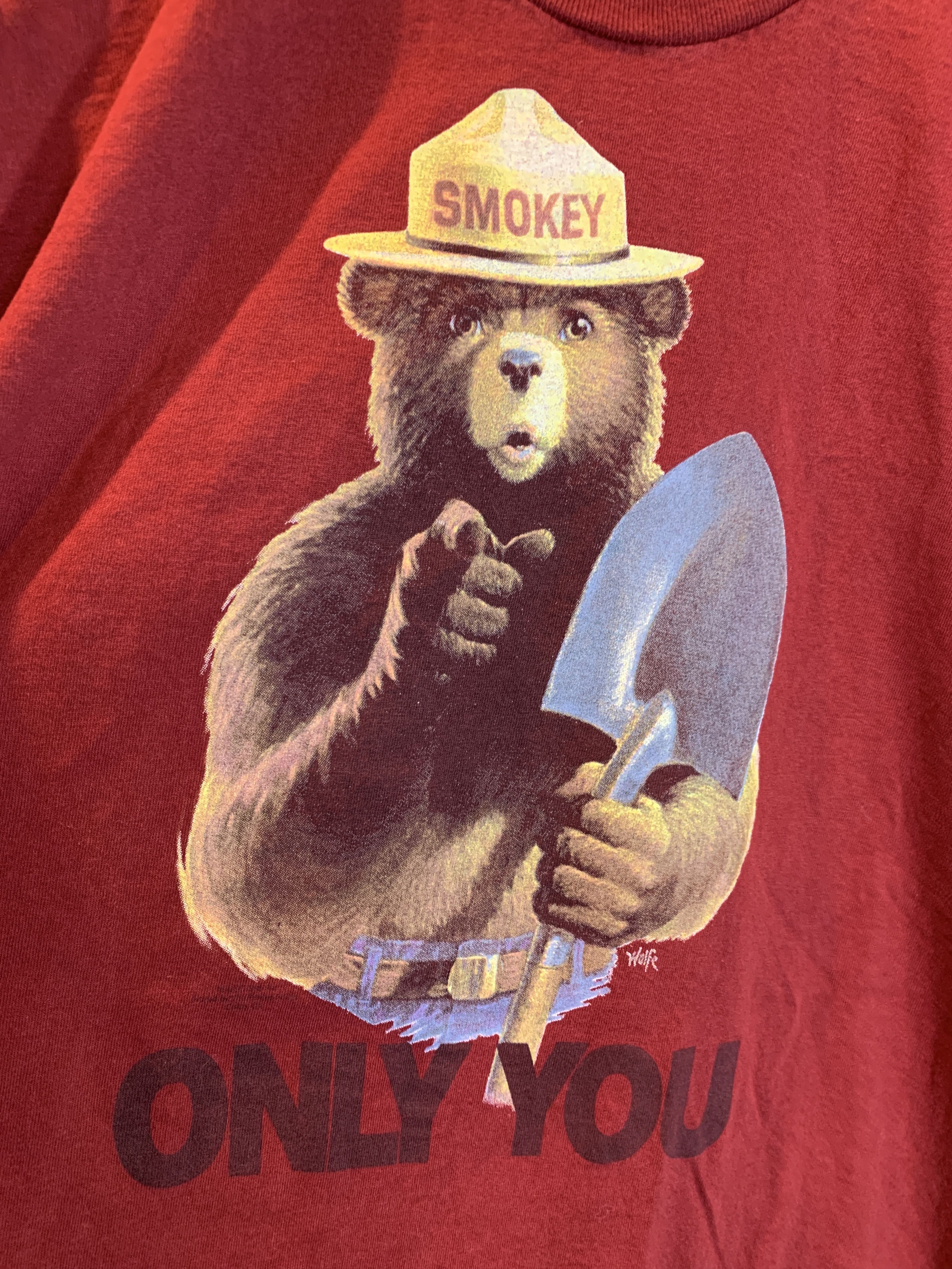 Vintage *RARE* Vintage 90’s Smokey The Bear Only You Forest T-Shirt Size US L / EU 52-54 / 3 - 2 Thumbnail