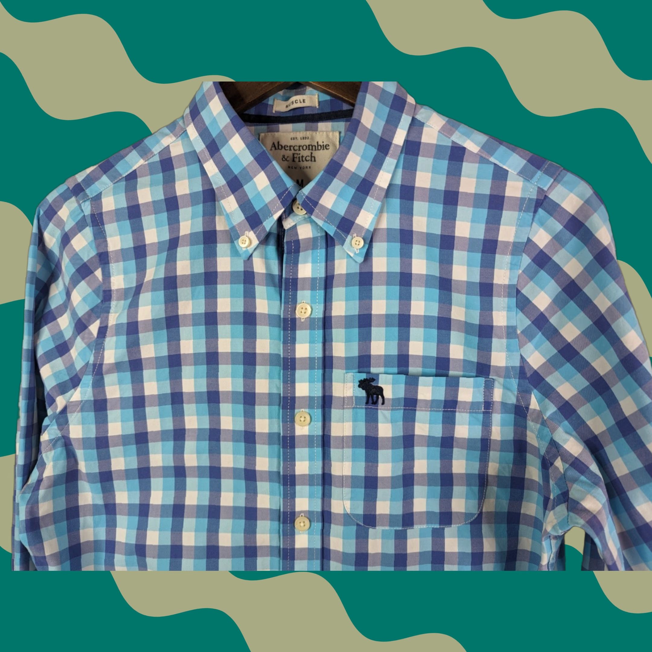 Abercrombie & Fitch Abercrombie & Fitch Button-Up Shirt Sz Medium Blue Check Muscle Fit Long Sleeve Casual Mens Size US M / EU 48-50 / 2 - 1 Thumbnail