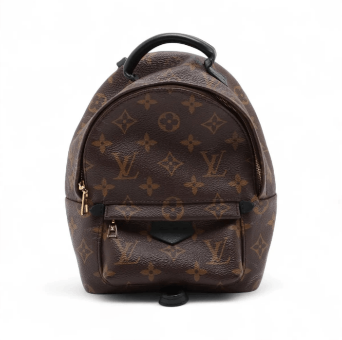 Louis Vuitton Monogram Palm Springs Mini Backpack Size ONE SIZE - 1 Thumbnail