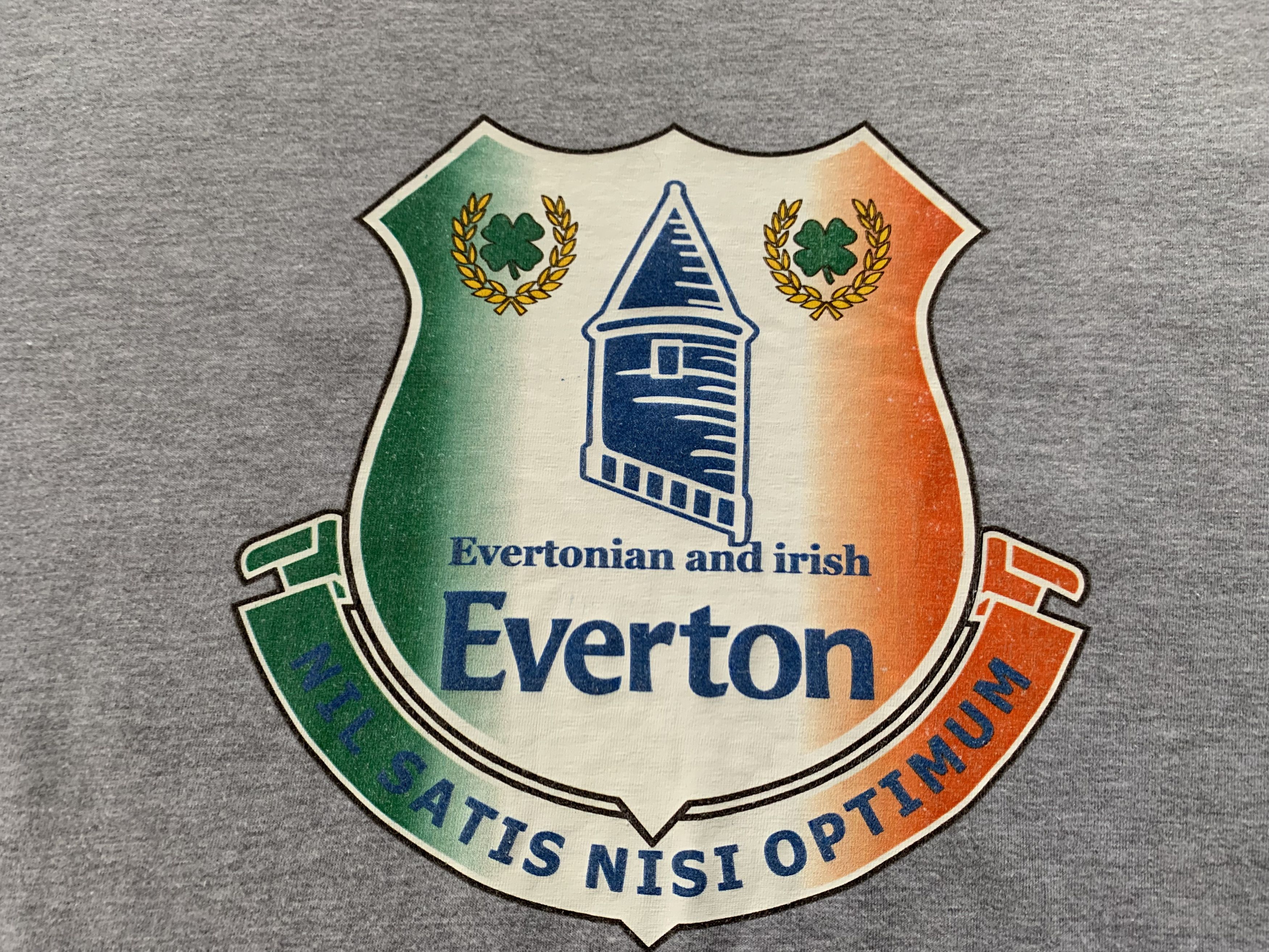 Vintage Vintage Gildan Everton Fans Cotton T-Shirt Size US L / EU 52-54 / 3 - 5 Thumbnail