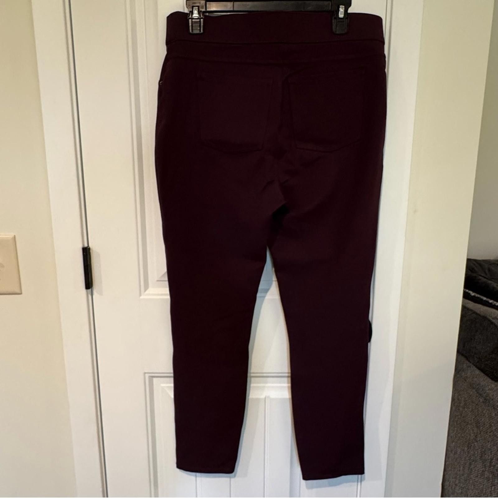 Domenico Spano SPANX Maroon Leggings-XL Size 40" / US 18 - 2 Thumbnail