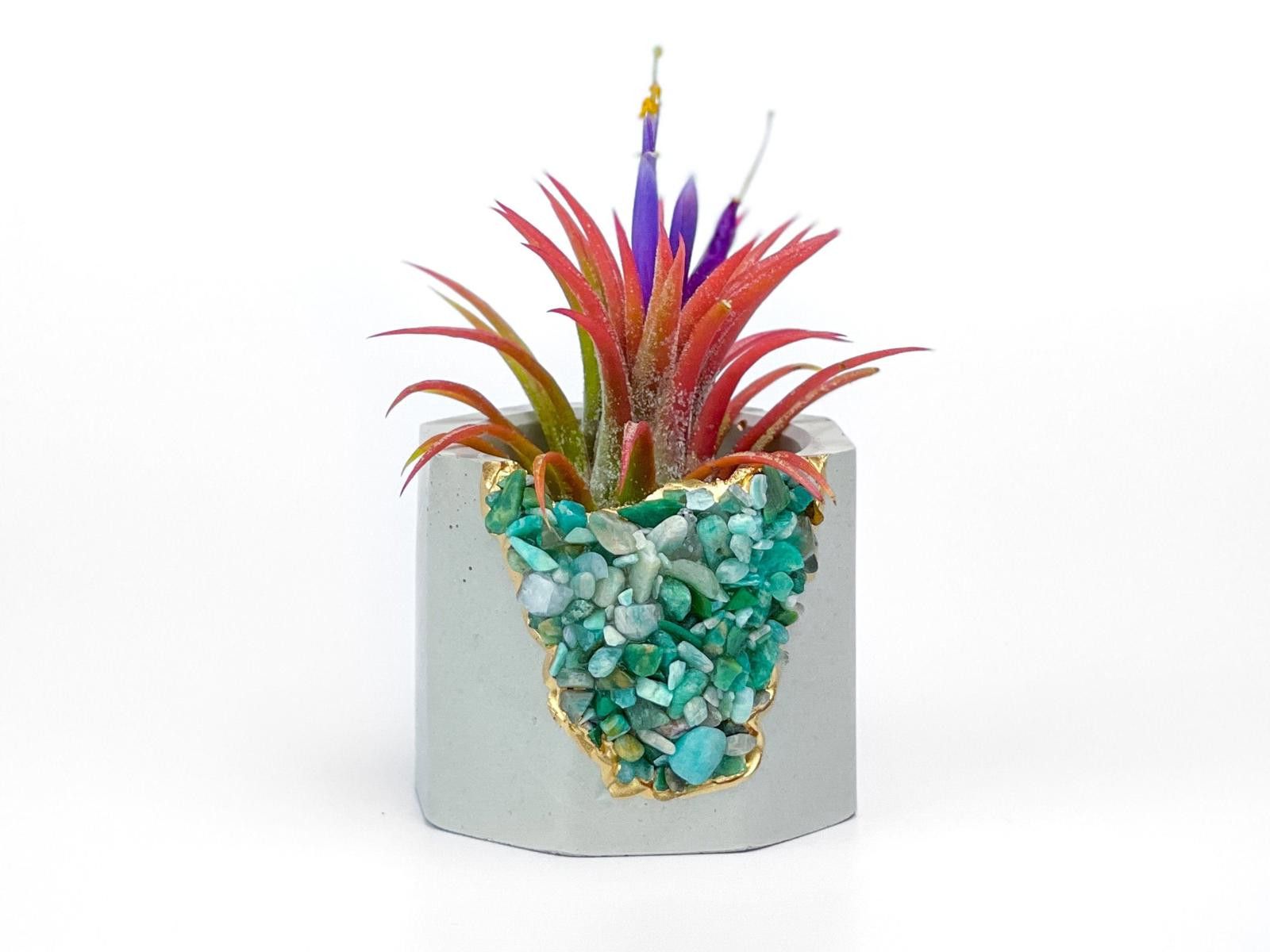 Other Amazonite Air Plant Holder | Succulent Crystal Geode Planter Size ONE SIZE - 1 Thumbnail