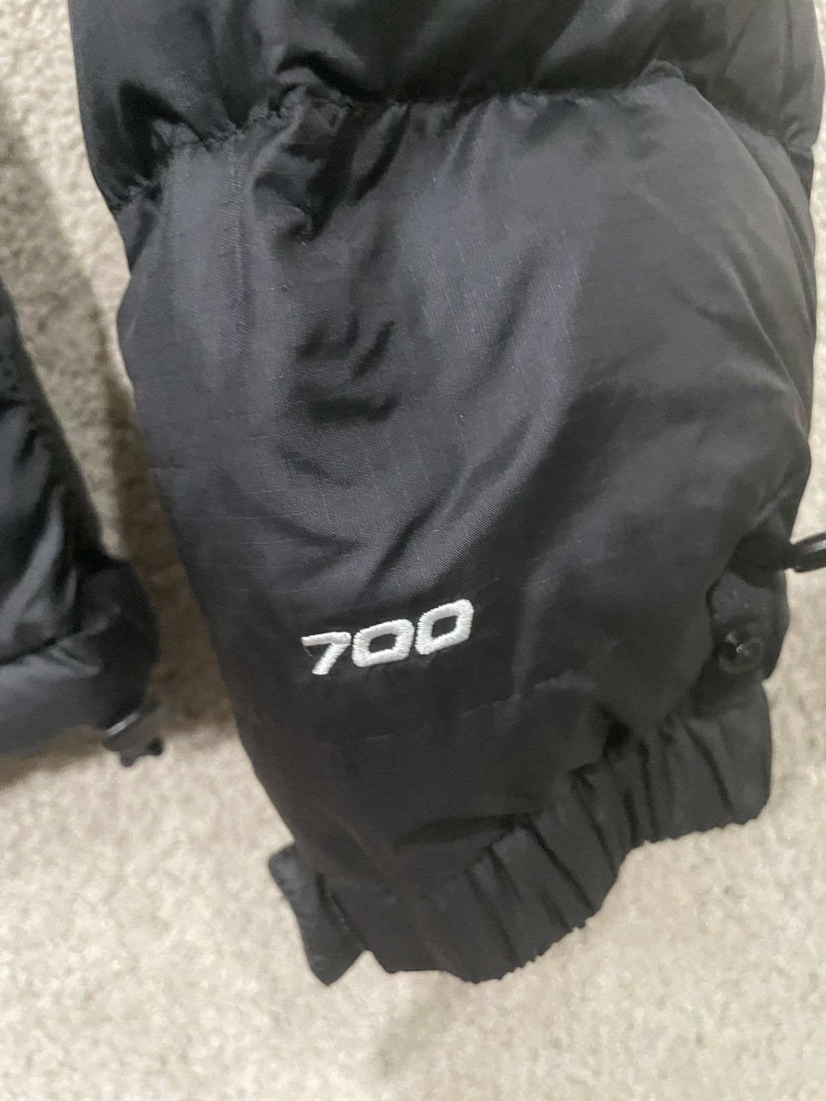 The North Face North face puffer 700 Size US M / EU 48-50 / 2 - 3 Thumbnail