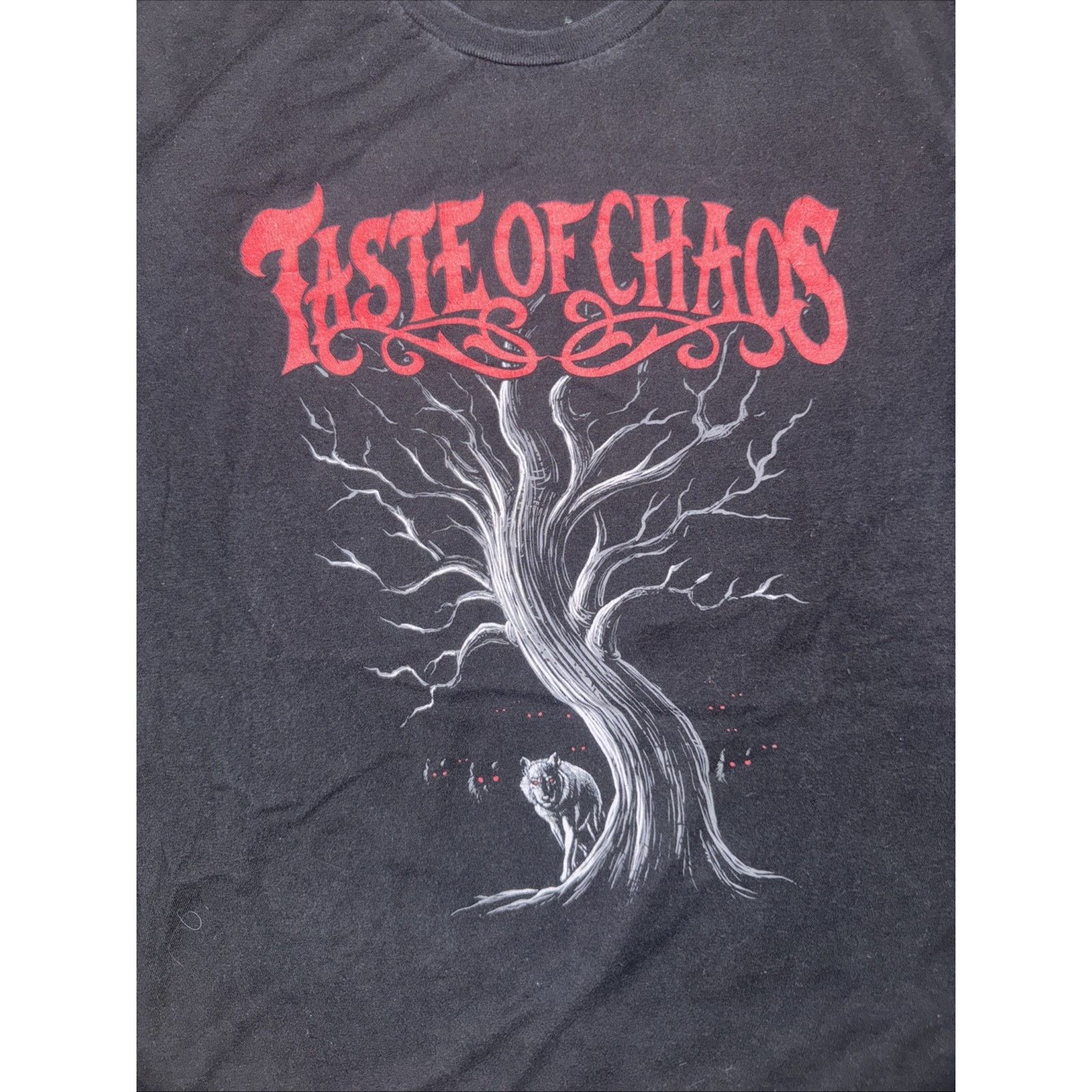 Band Tees Taste of Chaos Tour 2016 Band T-Shirt Black Men’s L 20x27 Size US L / EU 52-54 / 3 - 2 Thumbnail