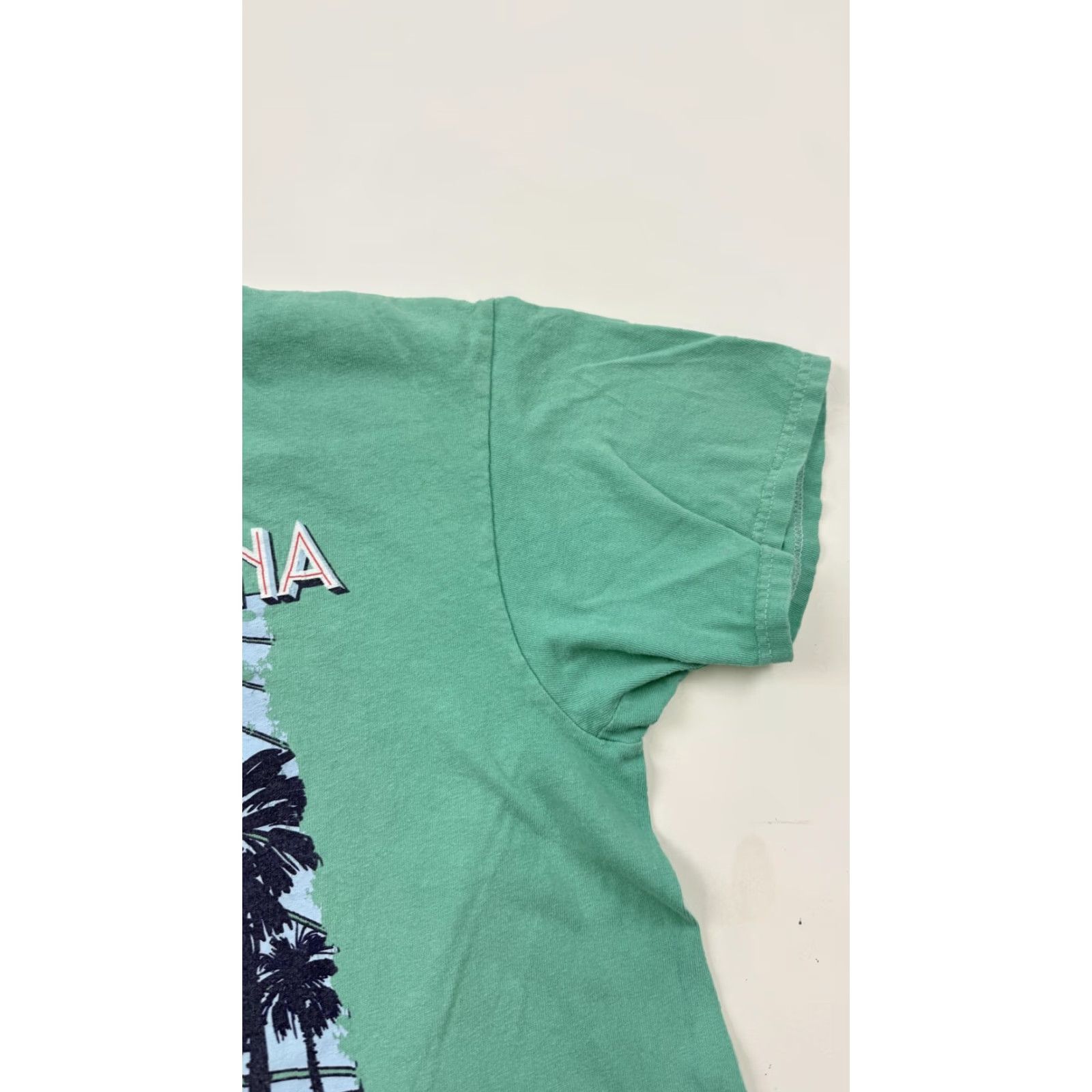 Vintage Buc-ee's Shirt Mens Large Green South Carolina Beach Graphic Tee Tagless Travel Mens Size US L / EU 52-54 / 3 - 4 Thumbnail