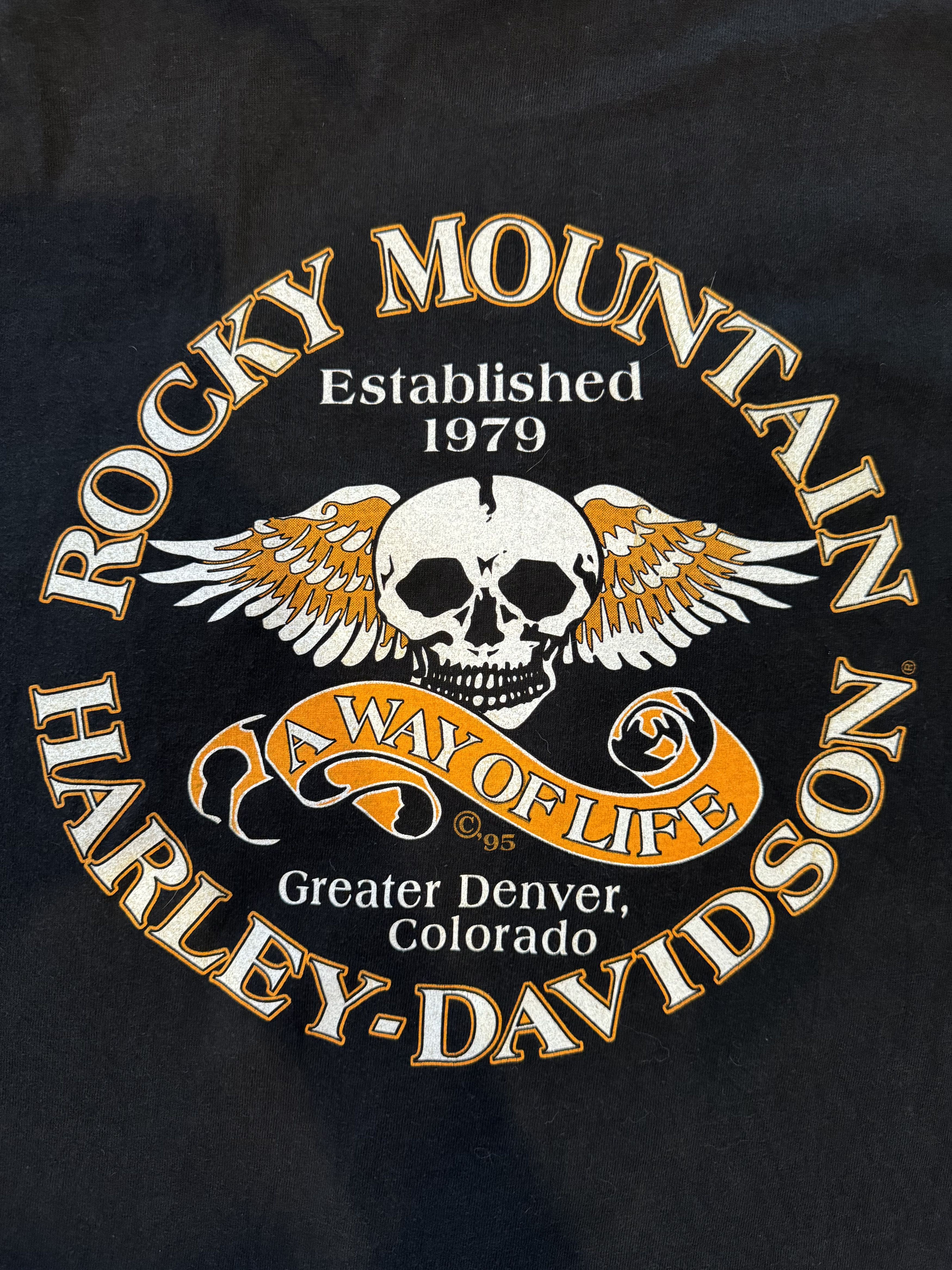 Hanes × Harley Davidson × Vintage Vintage Y2K Harley Davidson Denver, CO "Hell on Wheels" Tee Size US M / EU 48-50 / 2 - 7 Thumbnail