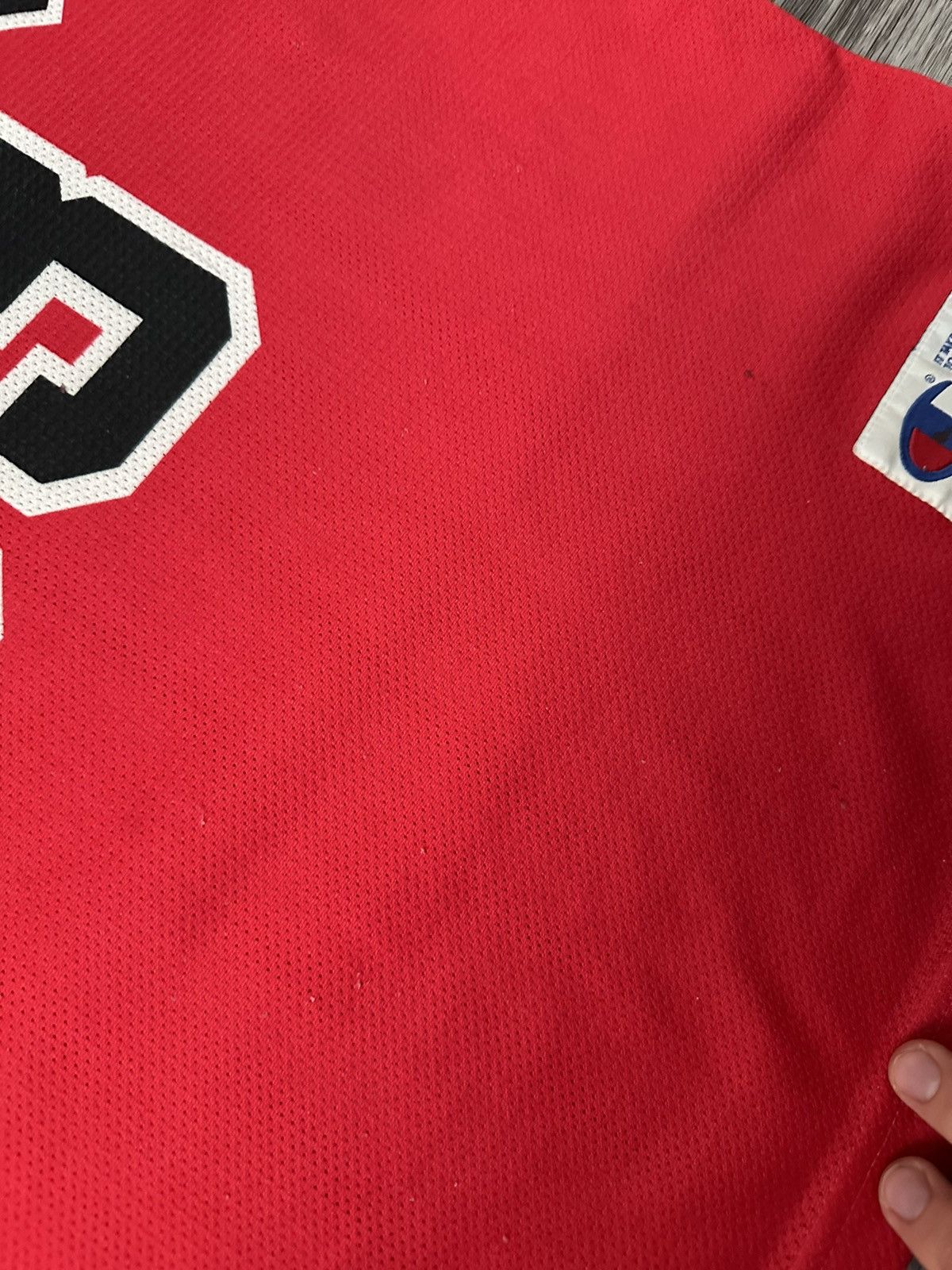 Champion Campion Chicago Bulls NBA Scottie Pippen 33 Vintage Jersey Size US XL / EU 56 / 4 - 12 Thumbnail