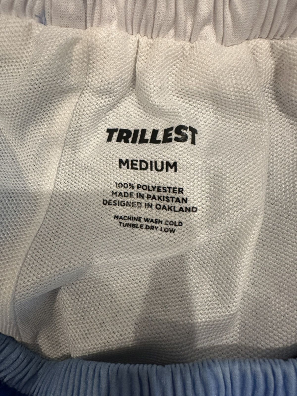 Trillest Trillest Trill Establishment Nipsey Hussle Swingman Shorts Size US 34 / EU 50 - 3 Thumbnail