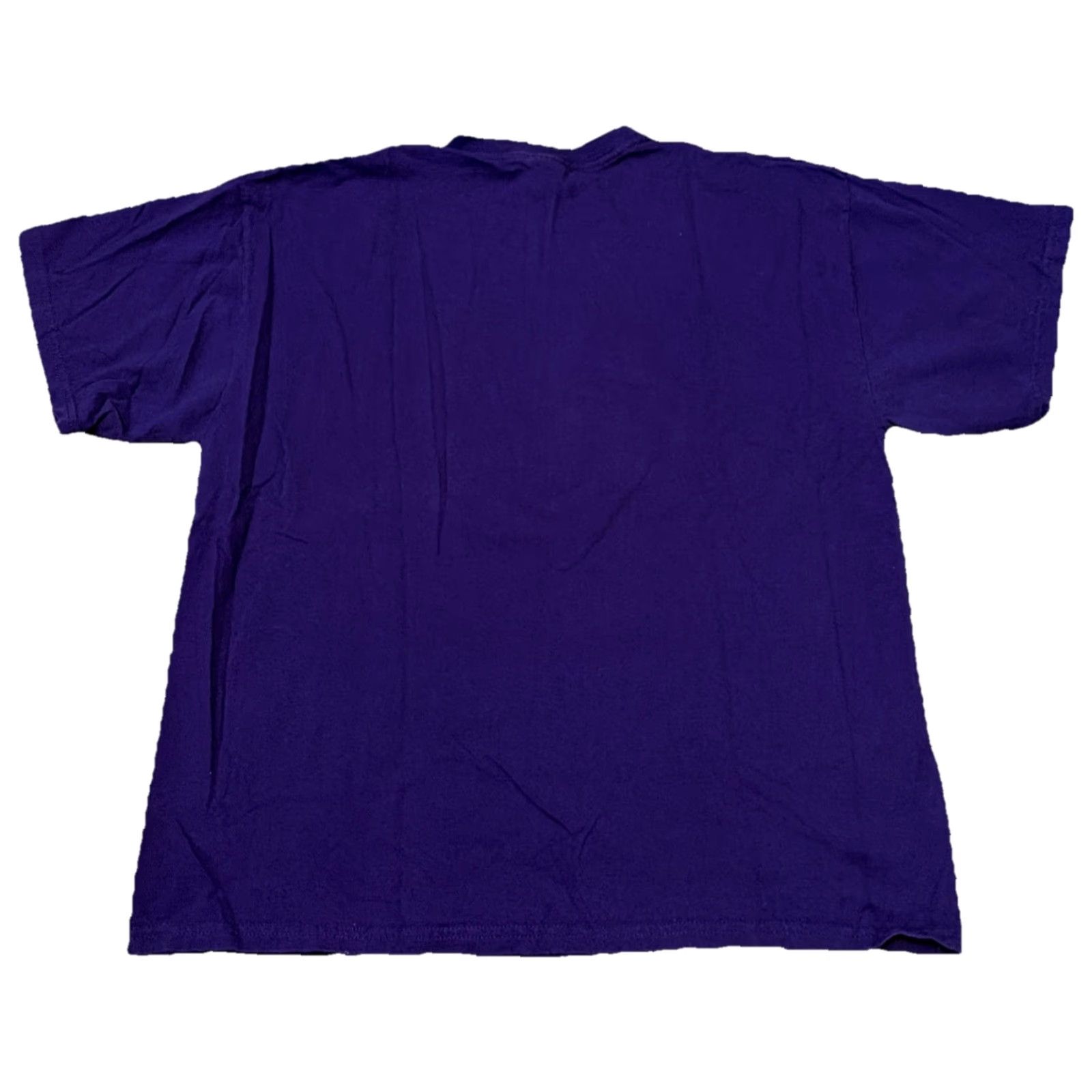Gildan VINTAGE 90s Phoenix Arizona Purple Art Bird Graphic T-Shirt XL Mens Regular Purple Bird Gildan XL T-Shirt Size US XL / EU 56 / 4 - 2 Thumbnail