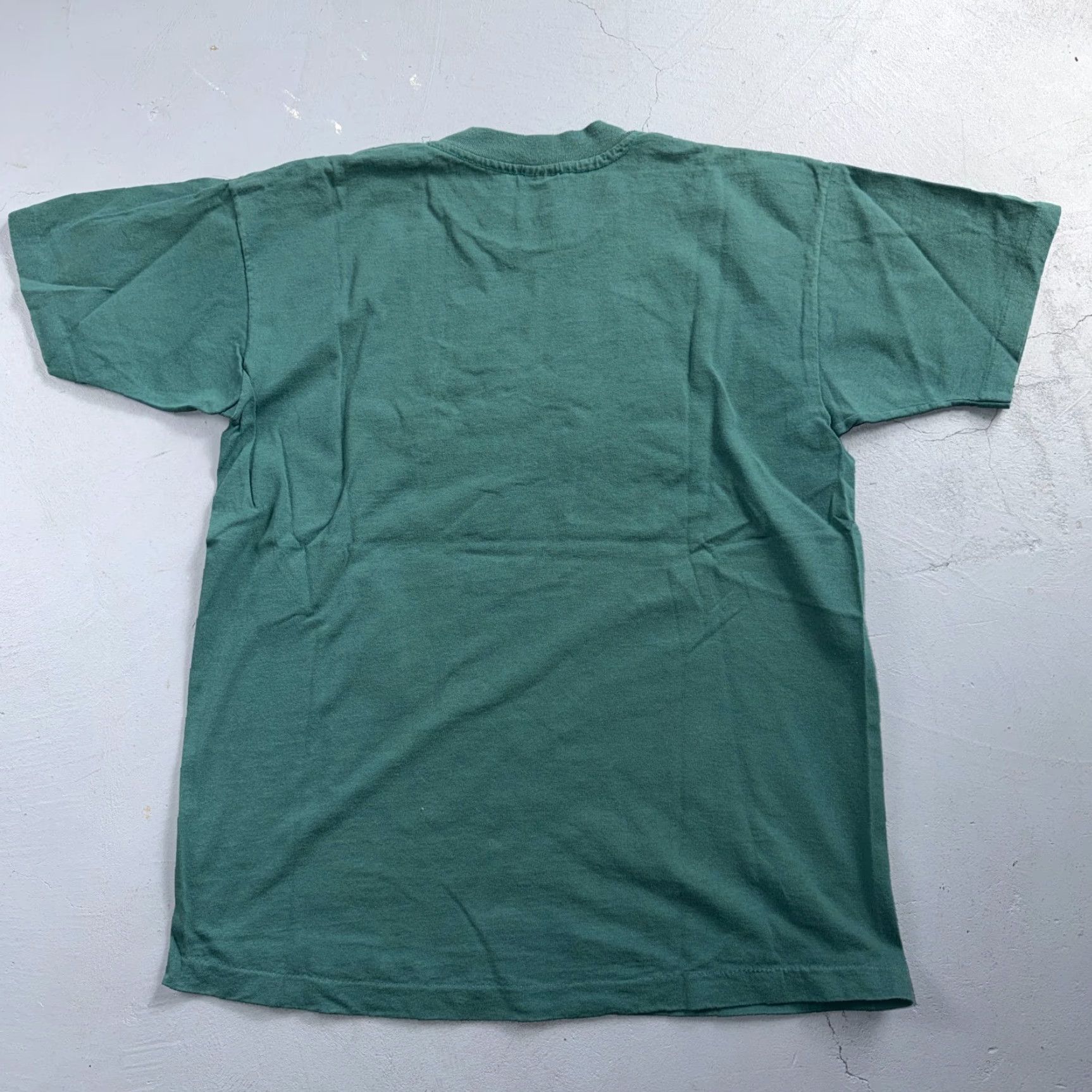 Anvil Oregon Anvil T Shirt Green Cotton 90s VTG Single Stitch Short Sleeve Crew Neck USA Trees Mountain Men L Green Embroidery Vintage Size US L / EU 52-54 / 3 - 7 Thumbnail
