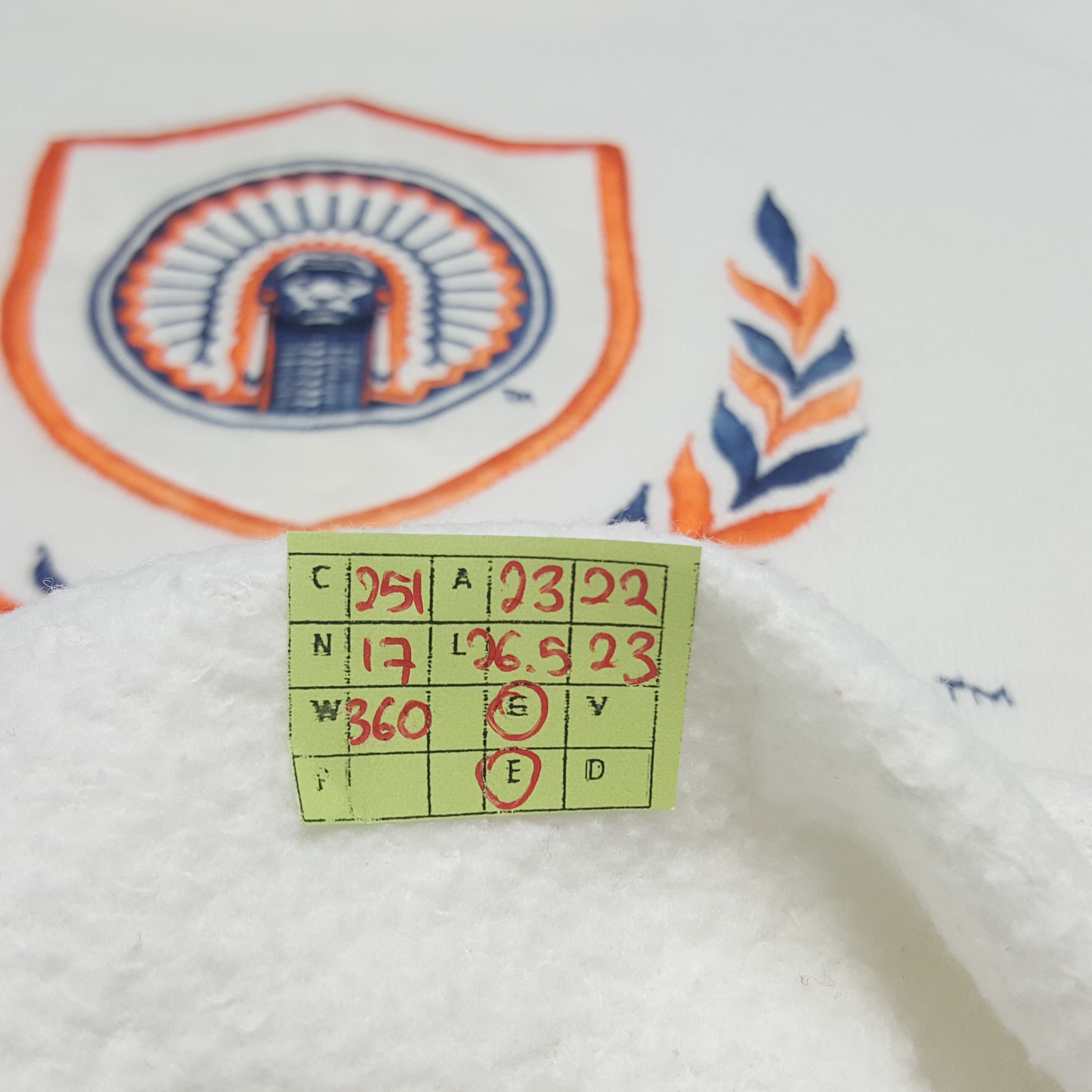 NBA × Vintage Vintage Fighting Illini Basketball Team Sweatshirt Size US L / EU 52-54 / 3 - 6 Thumbnail