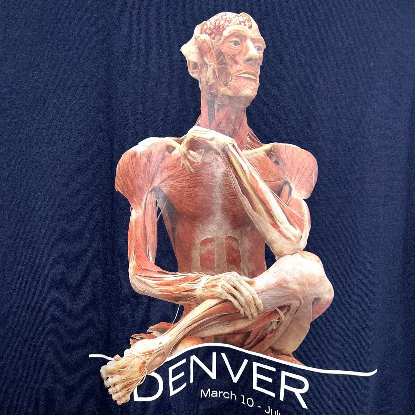 Gildan VINTAGE Body Worlds 2 Denver 2006 Plastination Tee Blue T-Shirt Short Sleeve Sz XL Size US XL / EU 56 / 4 - 4 Thumbnail