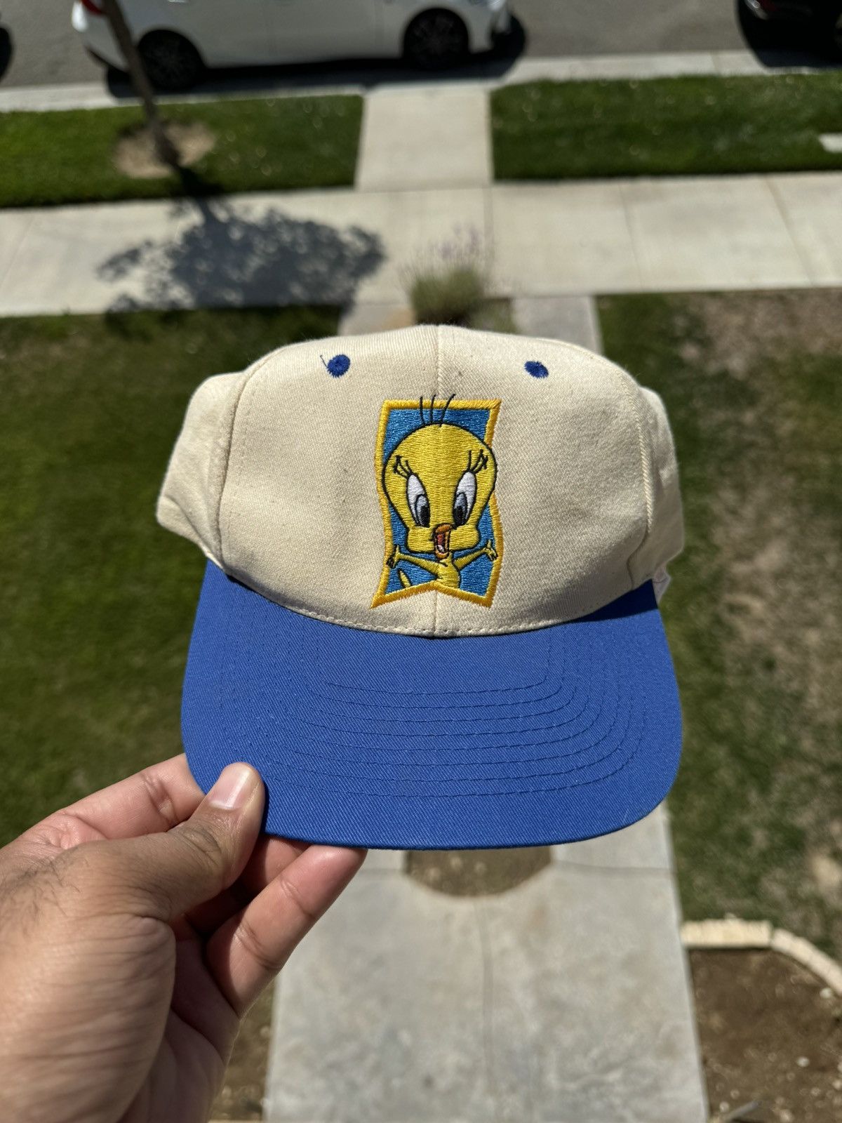 Vintage 1998 Loony Tunes Six Flag OSFA SnapBack Hat. Size ONE SIZE - 1 Thumbnail