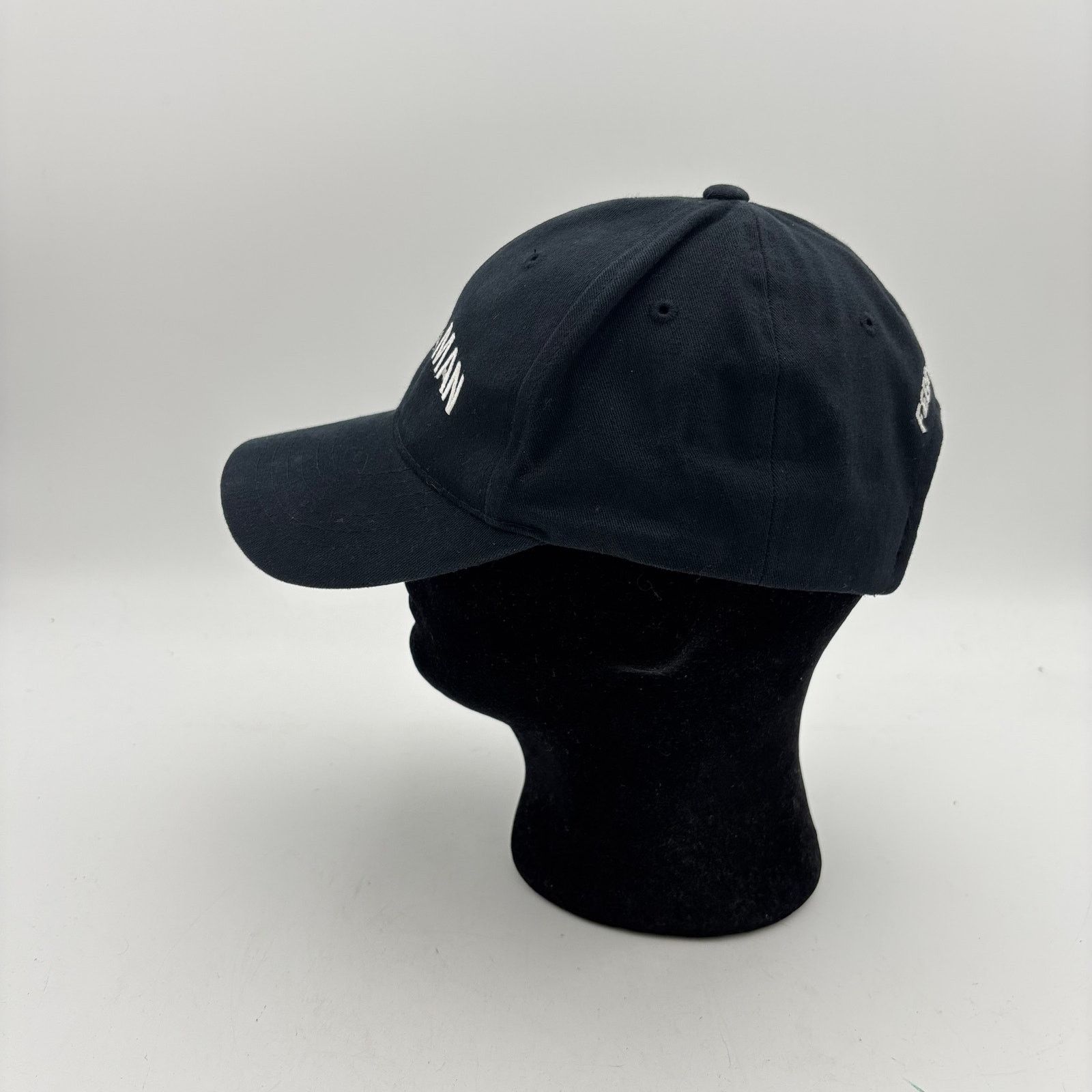 Vintage Joe Walsh Analog Man 2012 Tour Hat Baseball Size ONE SIZE - 5 Thumbnail